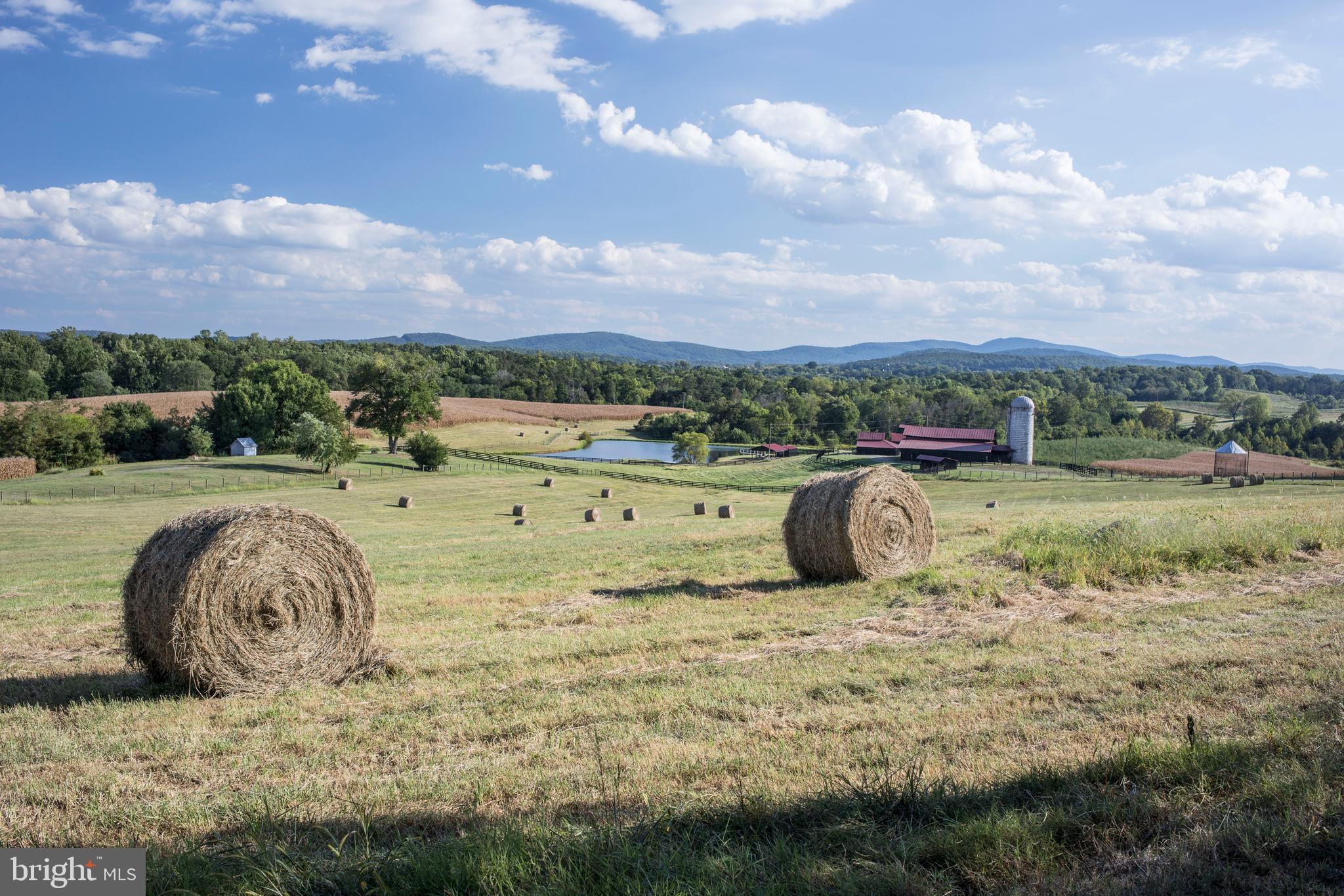 NONE AVAILABLE - Farm