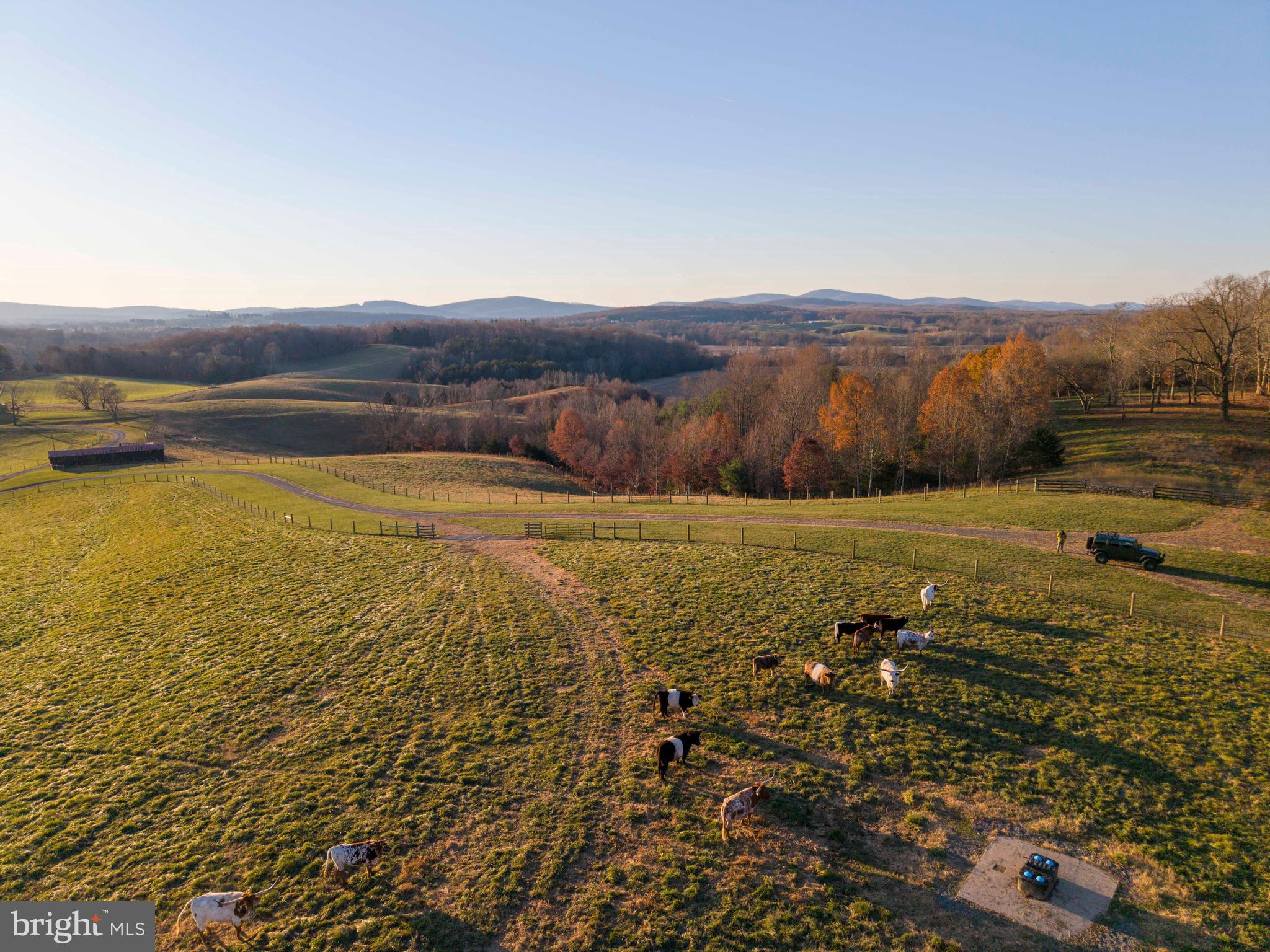 NONE AVAILABLE - Farm