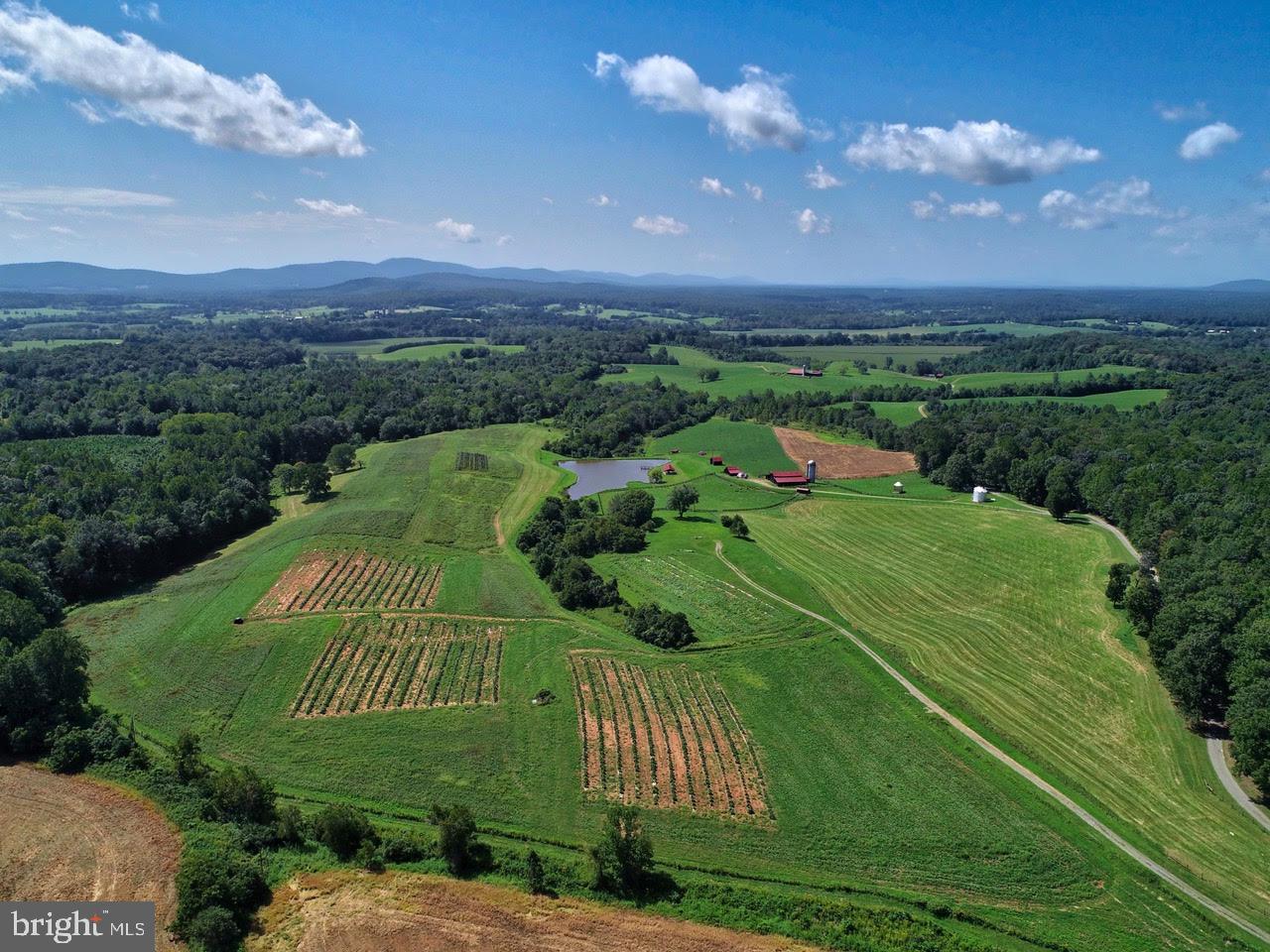 NONE AVAILABLE - Farm