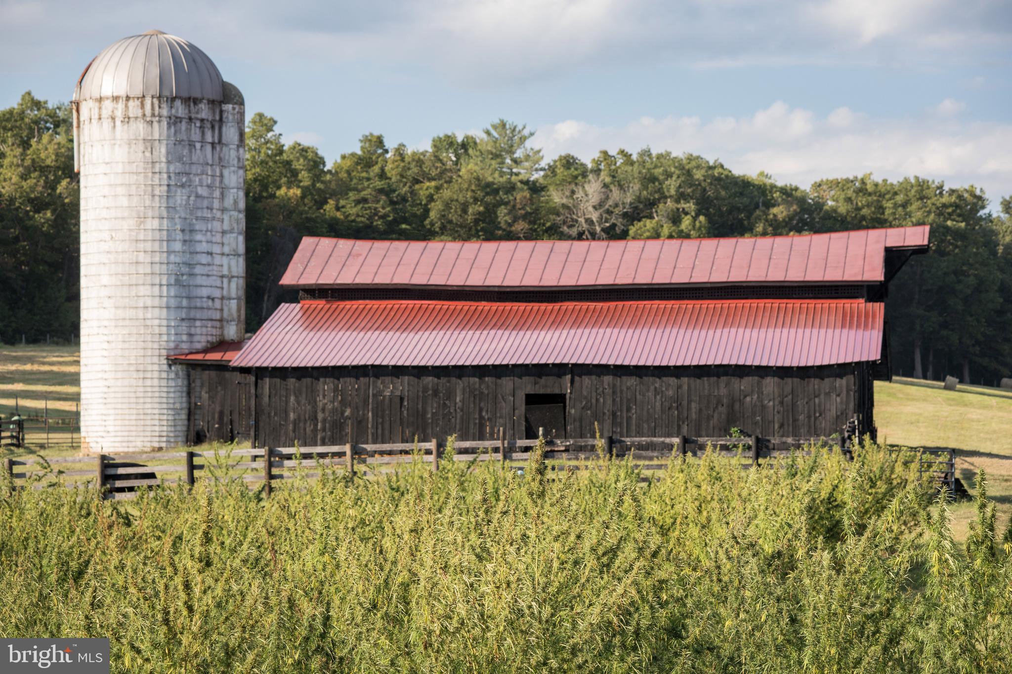 NONE AVAILABLE - Farm