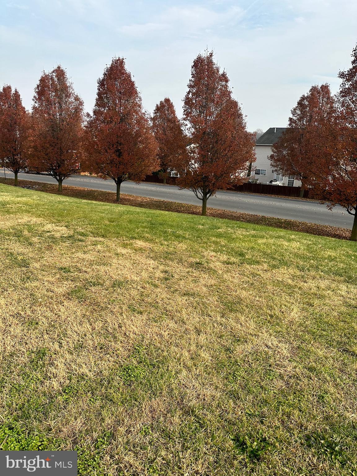 THE GALLERY - Residential Lease