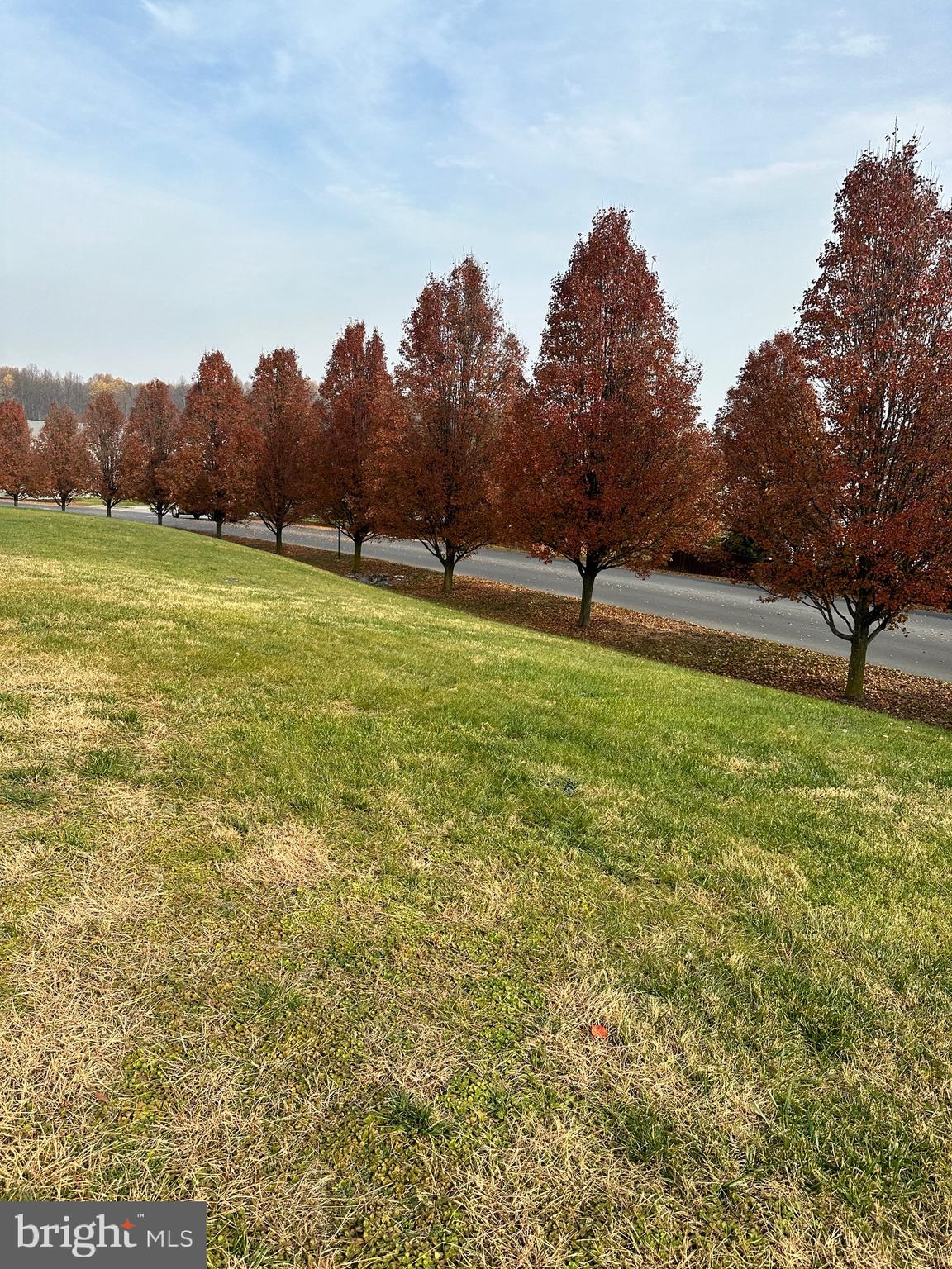 THE GALLERY - Residential Lease