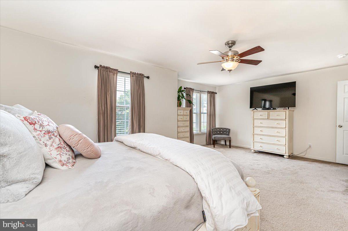 SHAMROCK MANOR - Residential