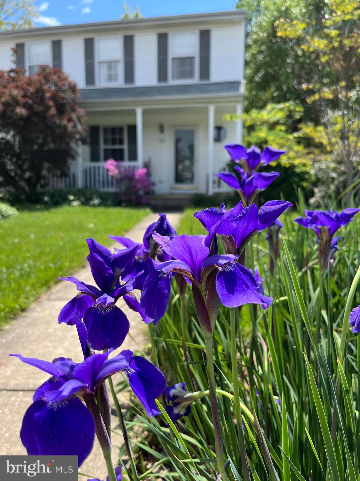 CATONSVILLE - Residential