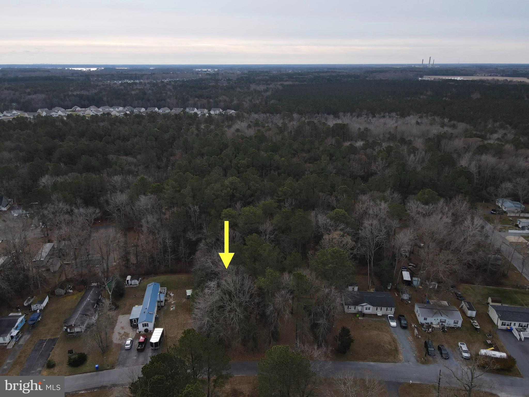 HOLIDAY PINES - Land