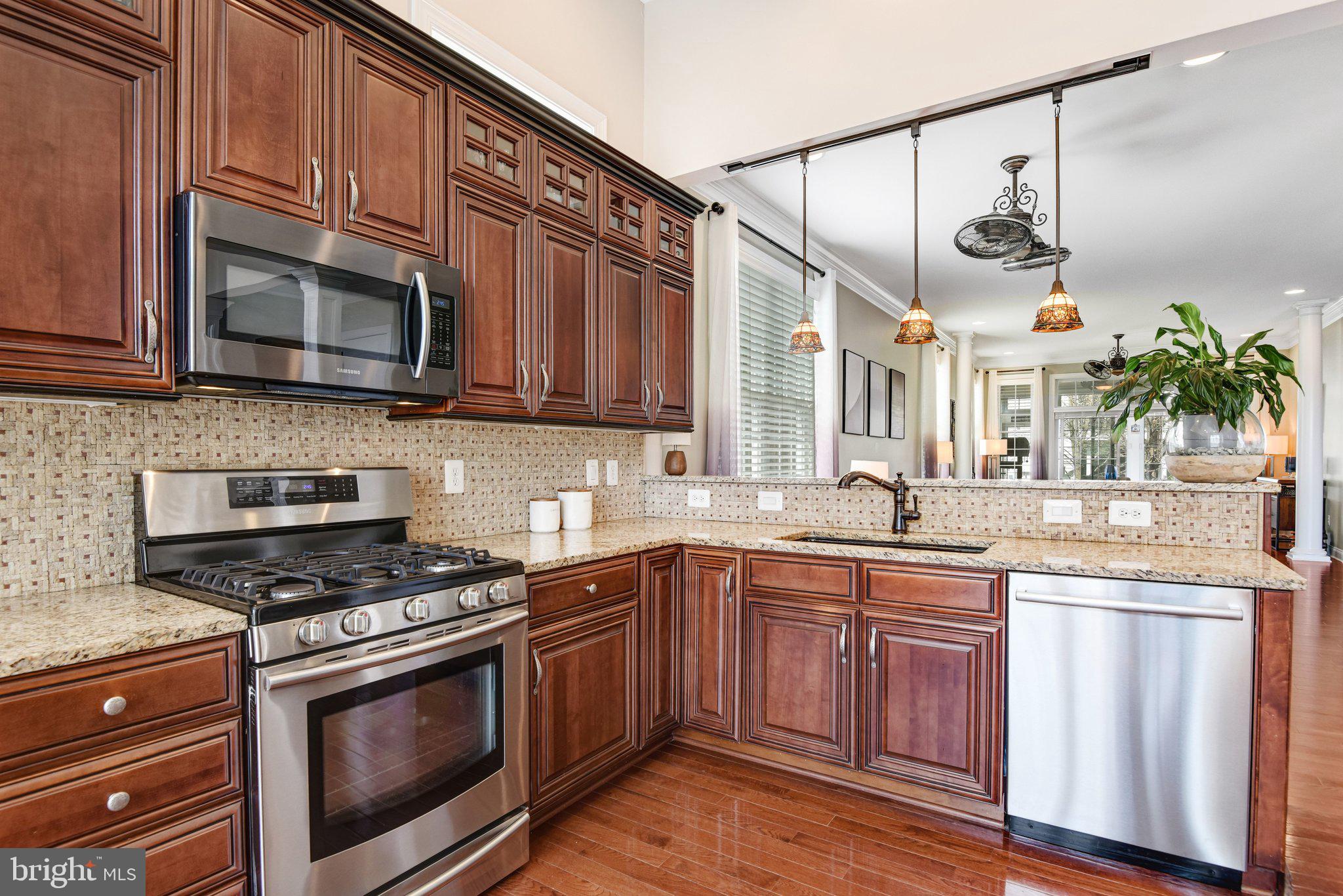 REGENCY AT DOMINION VALLEY - Residential