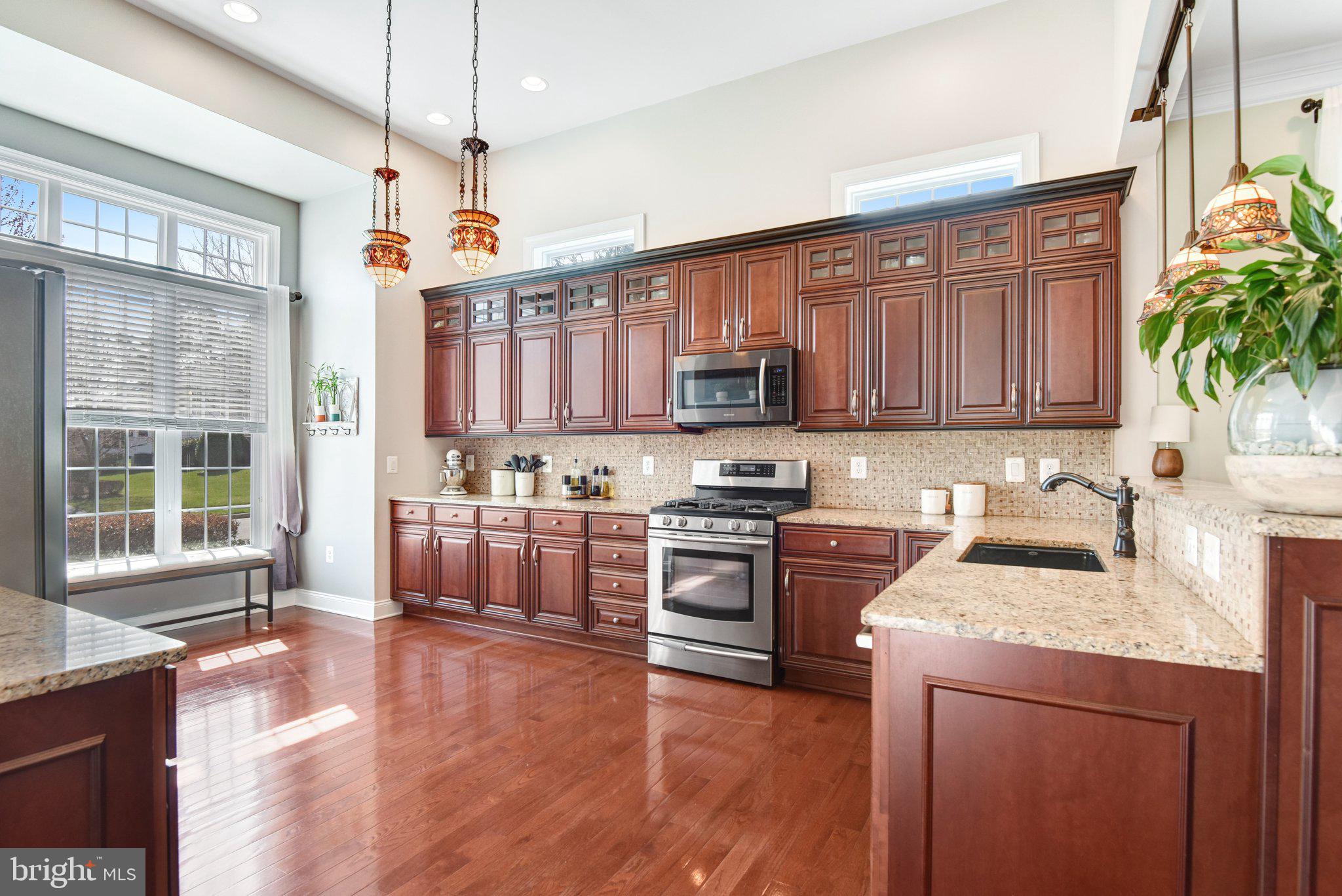 REGENCY AT DOMINION VALLEY - Residential