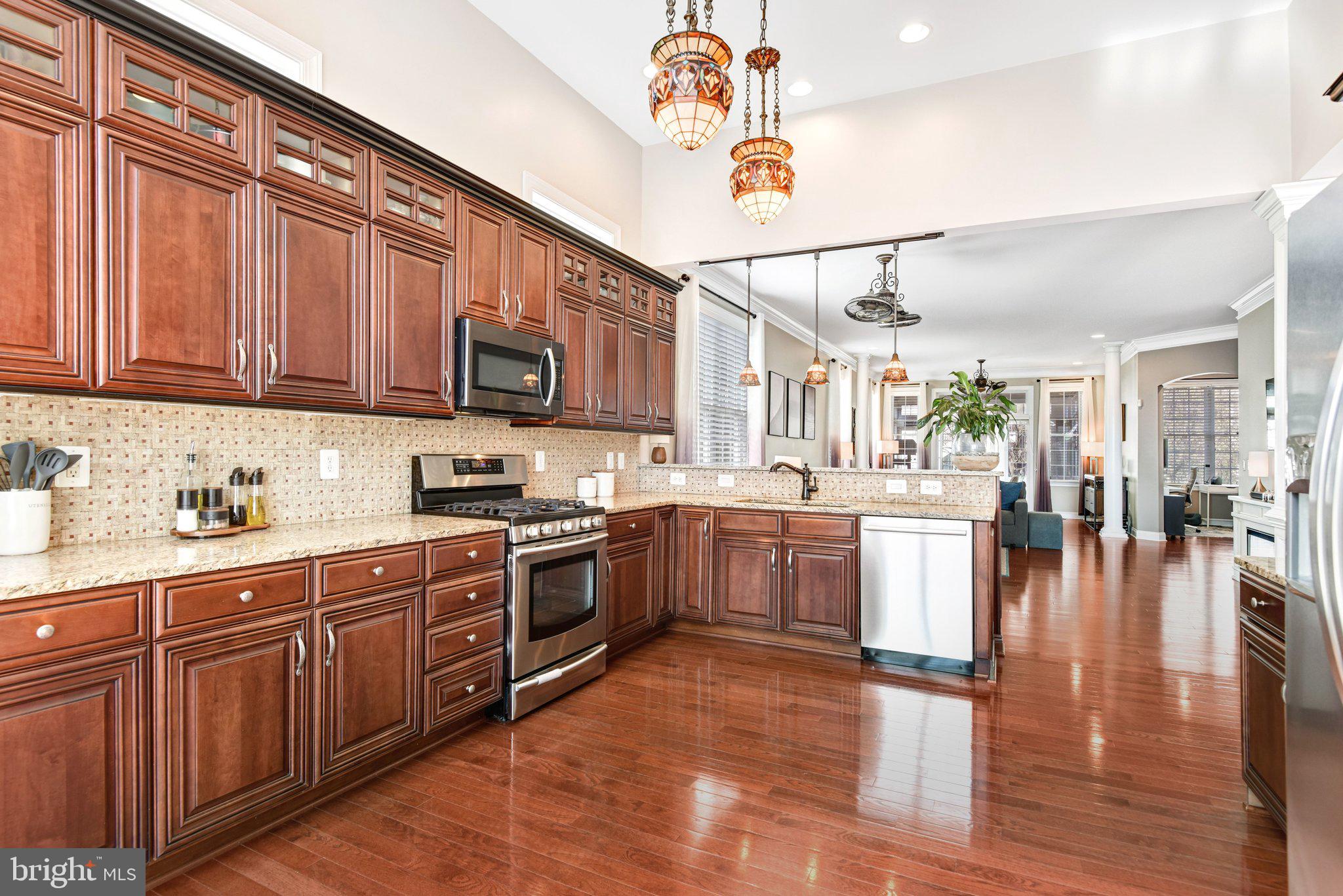 REGENCY AT DOMINION VALLEY - Residential