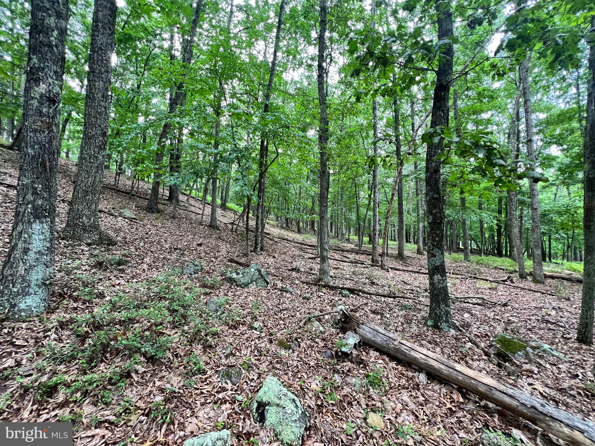 HIGH KNOB/OLD FIELDS OWNERS ASSOC. - Land