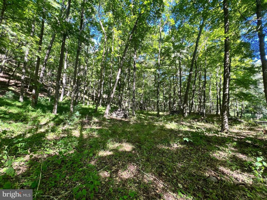 Panoramic sunset views from this nicely wooded lot on High Knob!