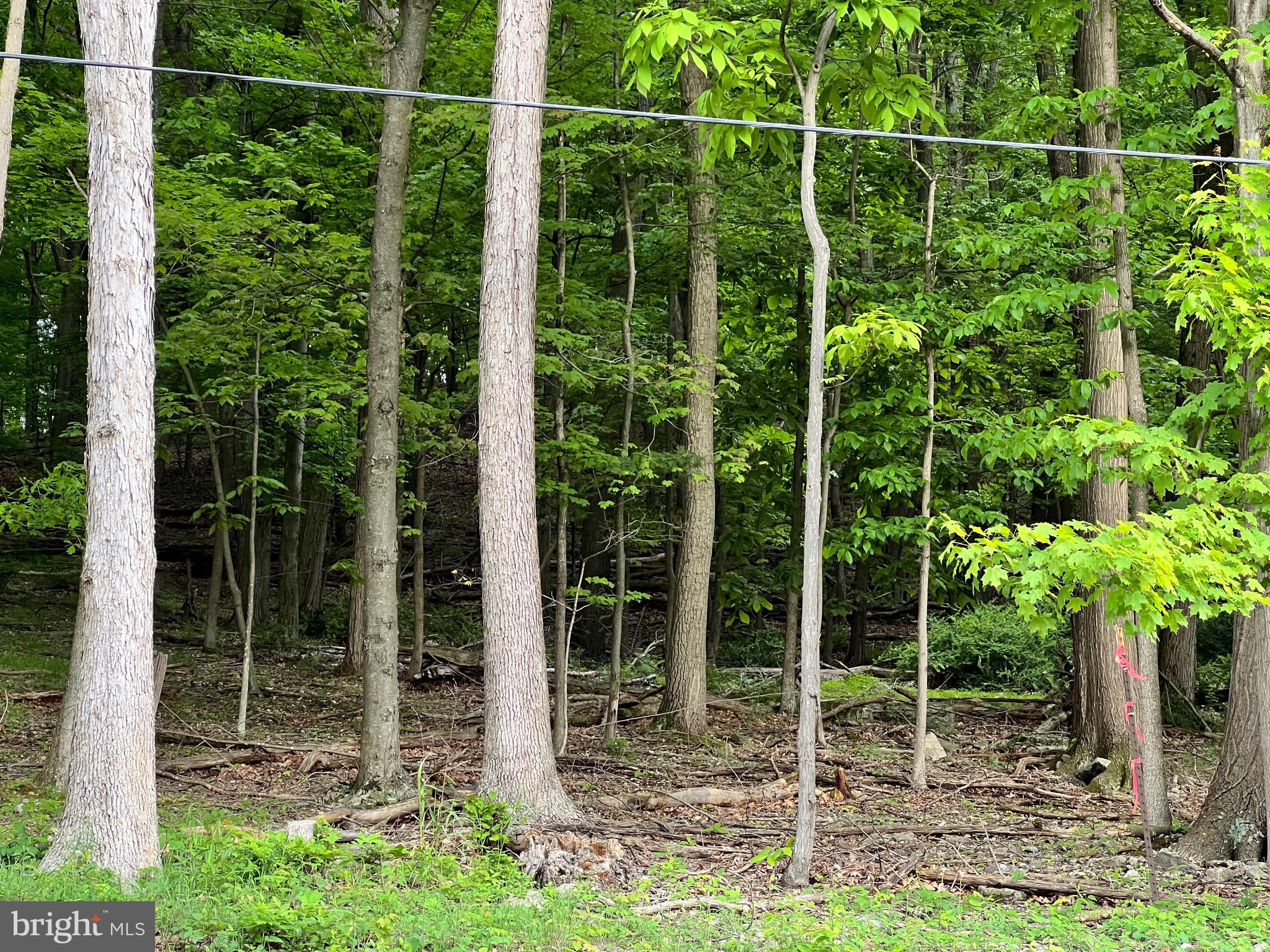HIGH KNOB/OLD FIELDS OWNERS ASSOC. - Land