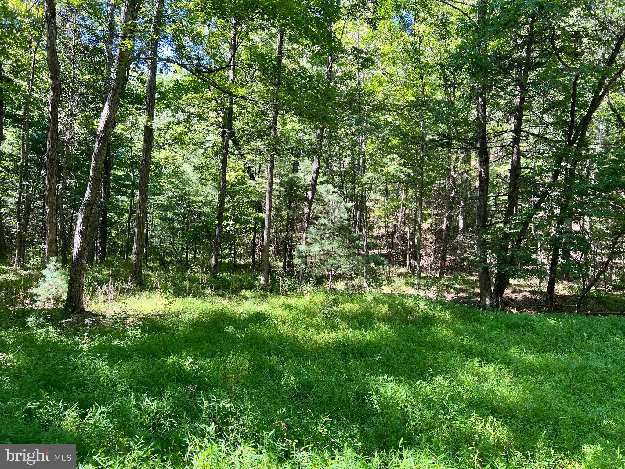 HIGH KNOB/OLD FIELDS OWNERS ASSOC. - Land