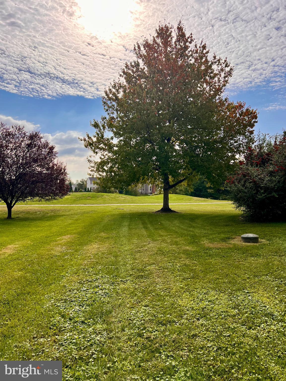 LOCUST HILL - Residential