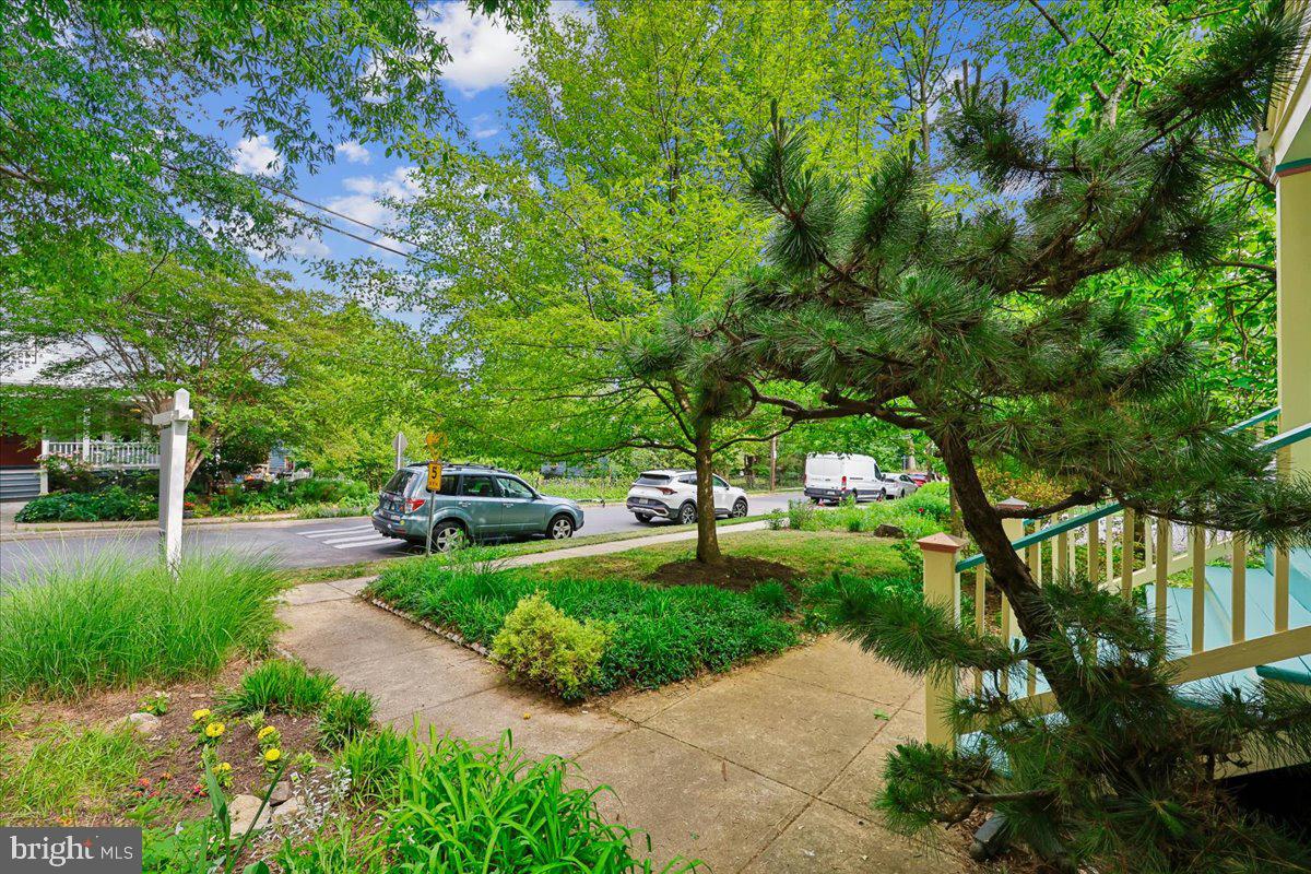 TAKOMA PARK - Residential