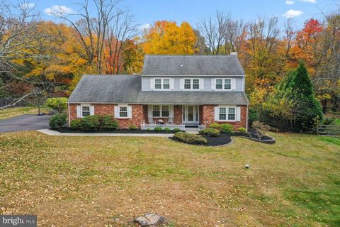 45 SPRINGS DRIVE DOYLESTOWN PA 18901