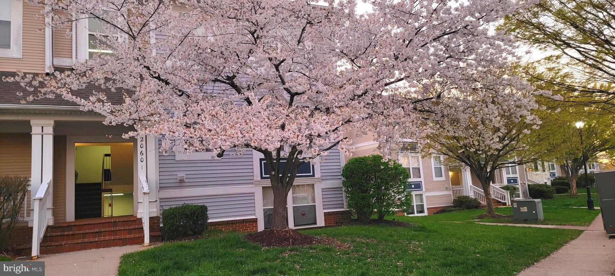 LAKESHORE CONDO - Residential