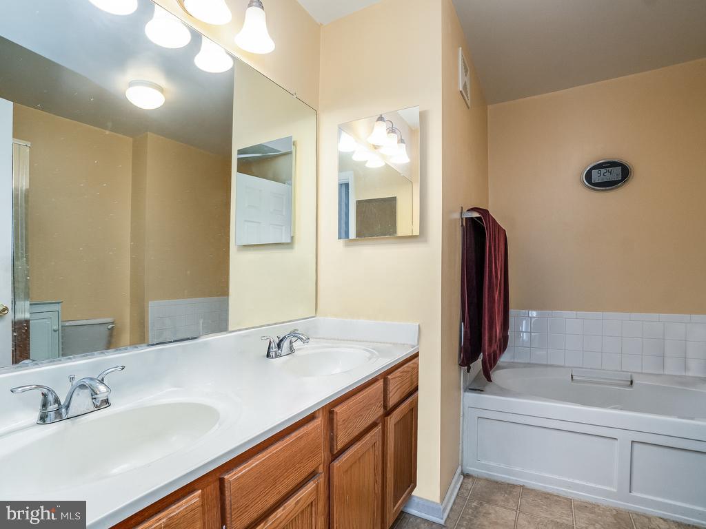 AMBER SPRING - Residential Lease