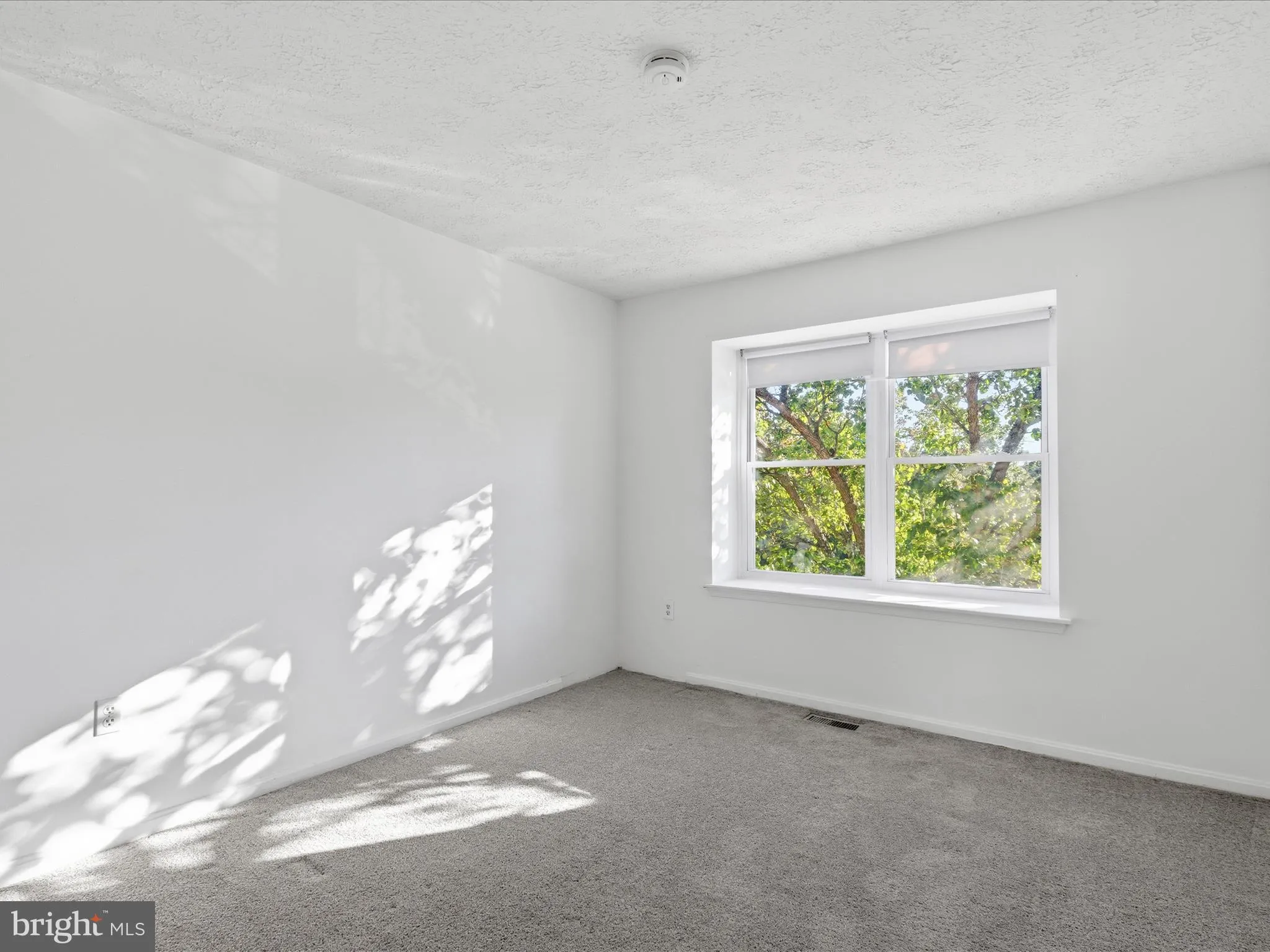 Indian Head, Maryland 20640, United States, 4 Bedrooms Bedrooms, ,3 BathroomsBathrooms,Residential,Active,254974