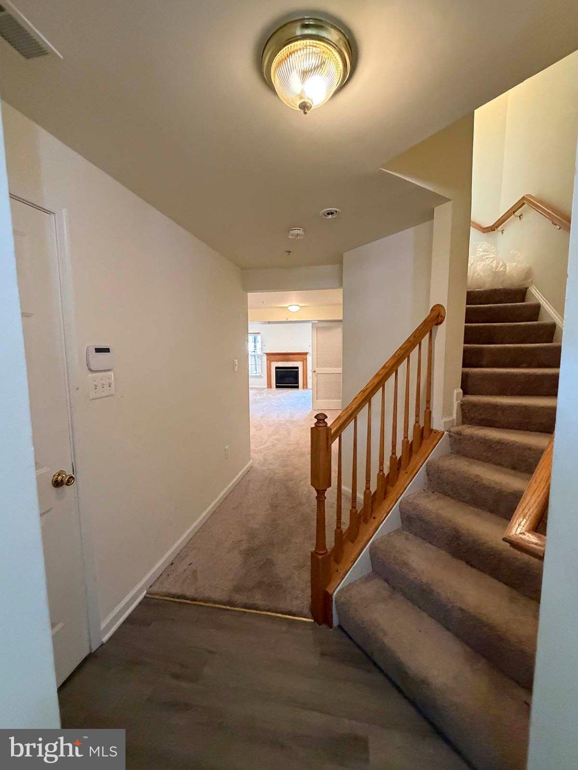 1707 PEACH BLOSSOM COURT