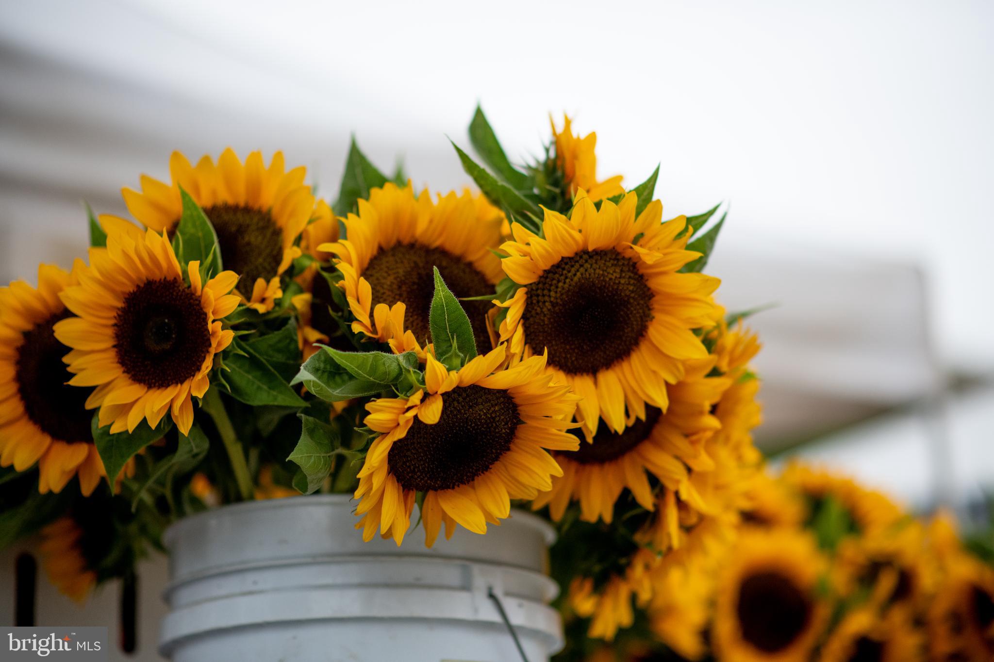 LYNHAVEN - Residential Lease