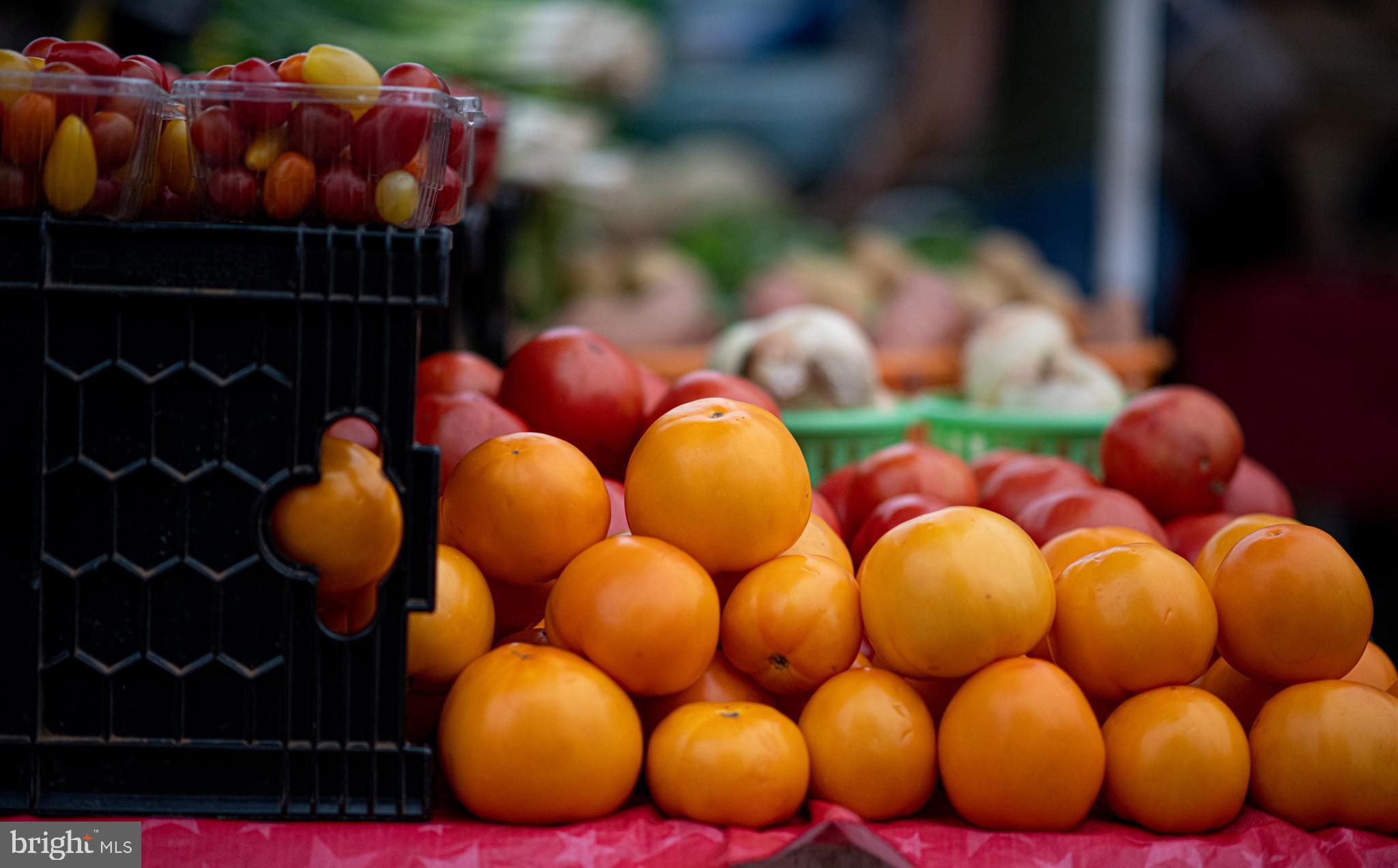 LYNHAVEN - Residential Lease