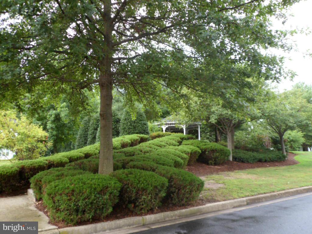 PICKETTS HARBOR - Residential Lease