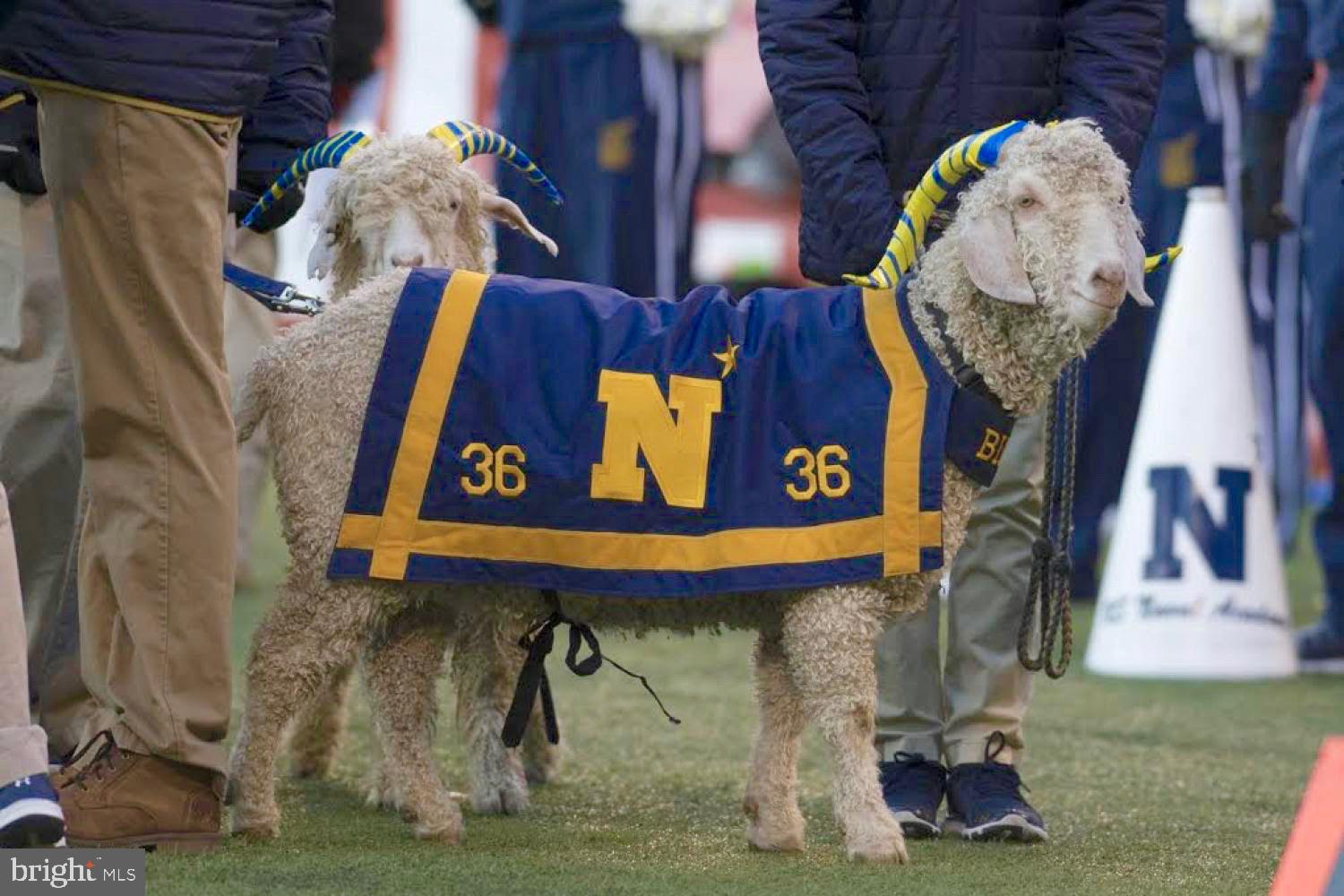 THE LANDING AT SPA CREEK - Residential