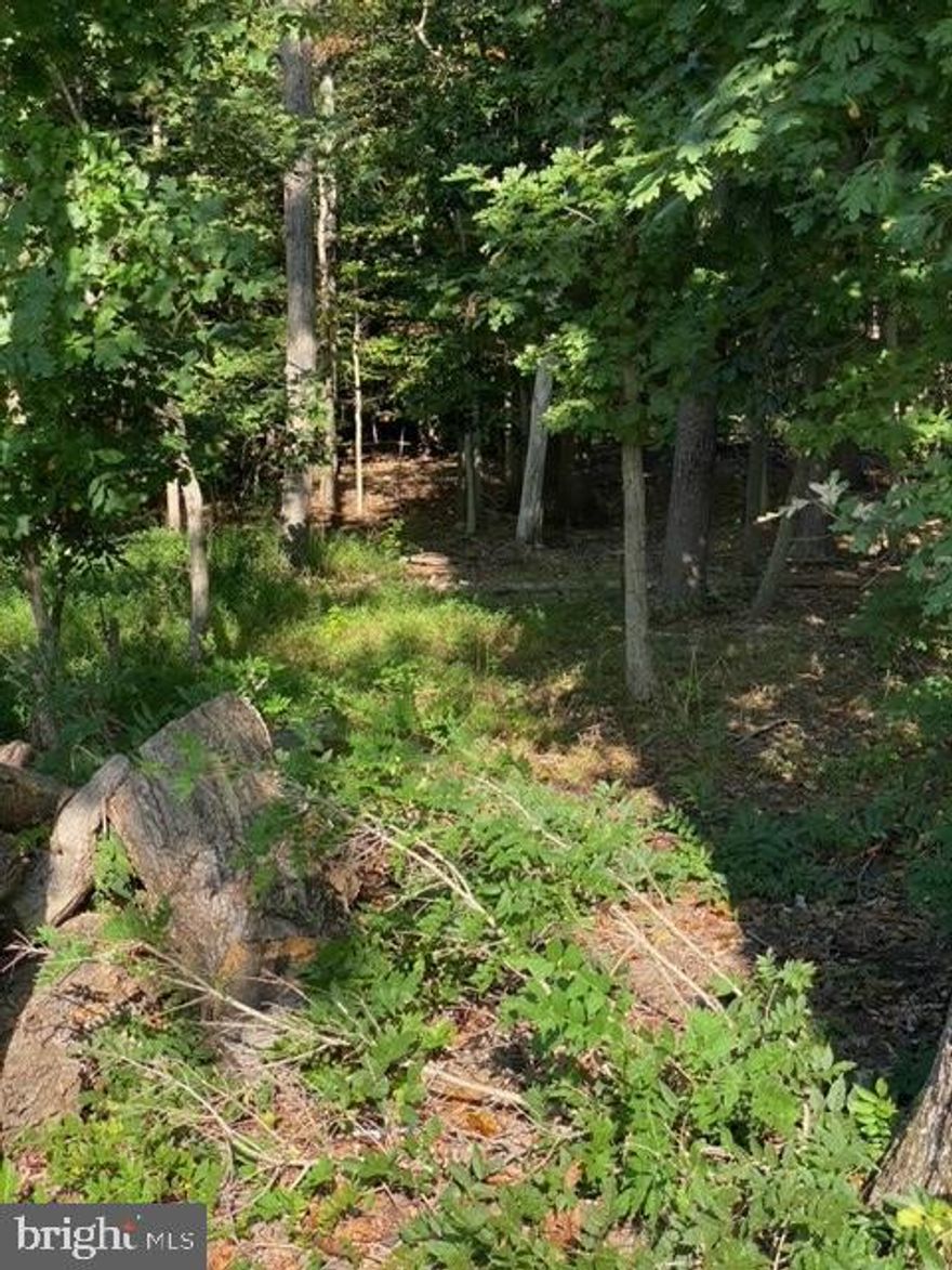 7.1 acre lot available for sale in close-by Fort Washington.  Heavily wooded, raw land, public water and  sewer available on fronting street.  Perfect for building your own private dream home, or possible sub-division into at least 5 separate single family home lots.  Preliminary plans with some engineering and design available, all subject to application and approvals by local housing authorities.