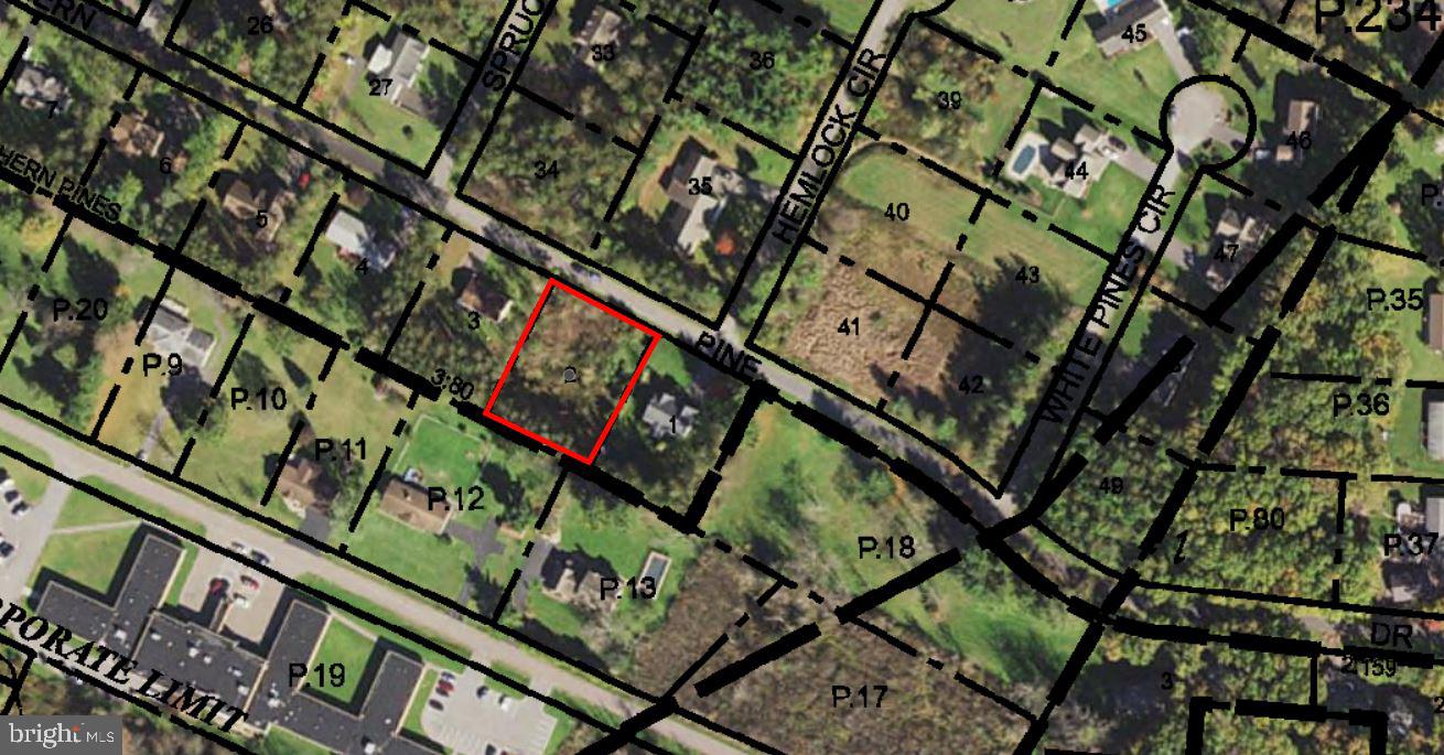 SOUTHERN PINES - Land