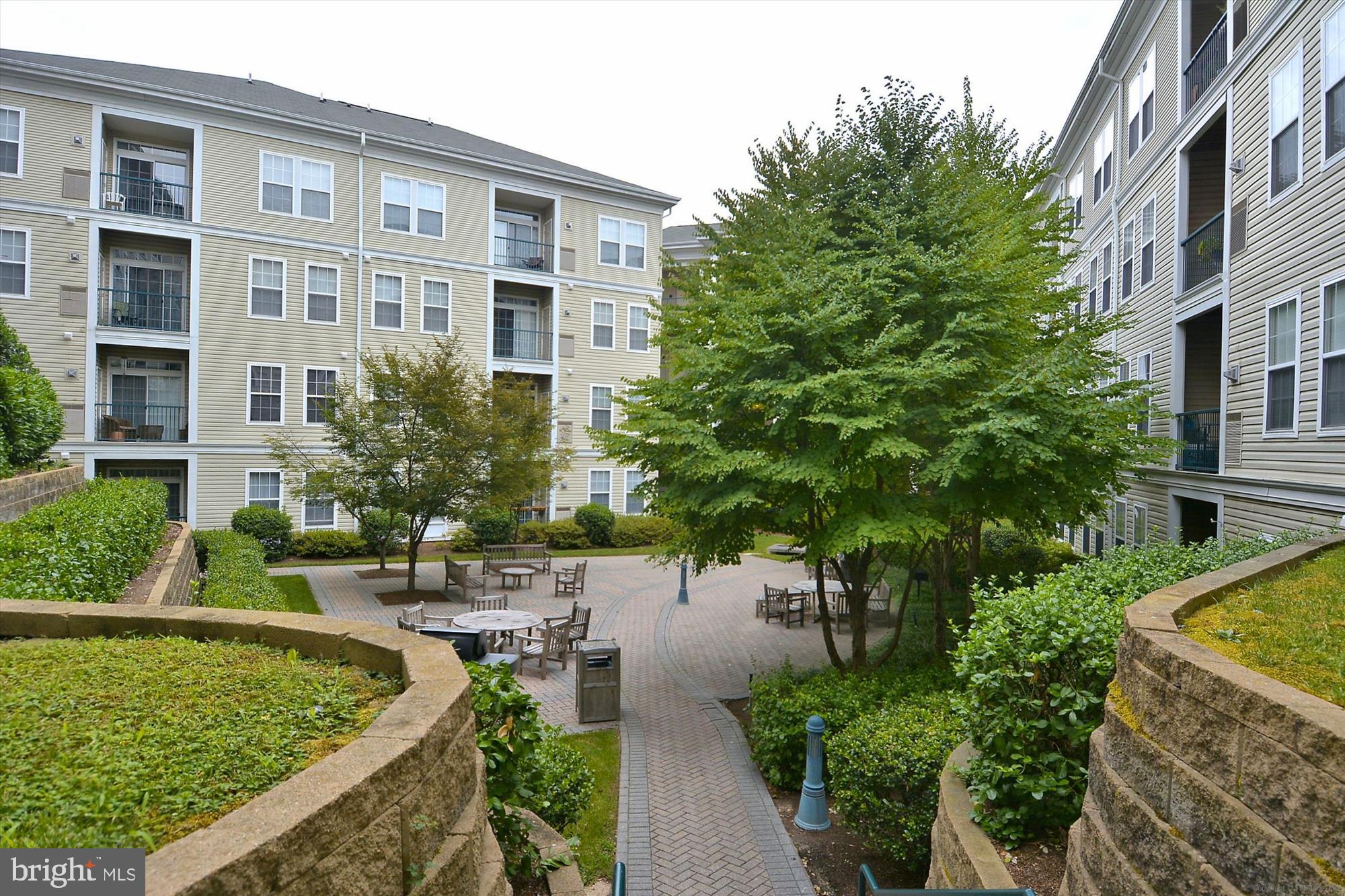 THE GROVE AT ARLINGTON - Residential