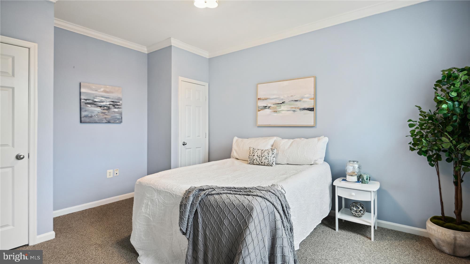 THE GROVE AT ARLINGTON - Residential