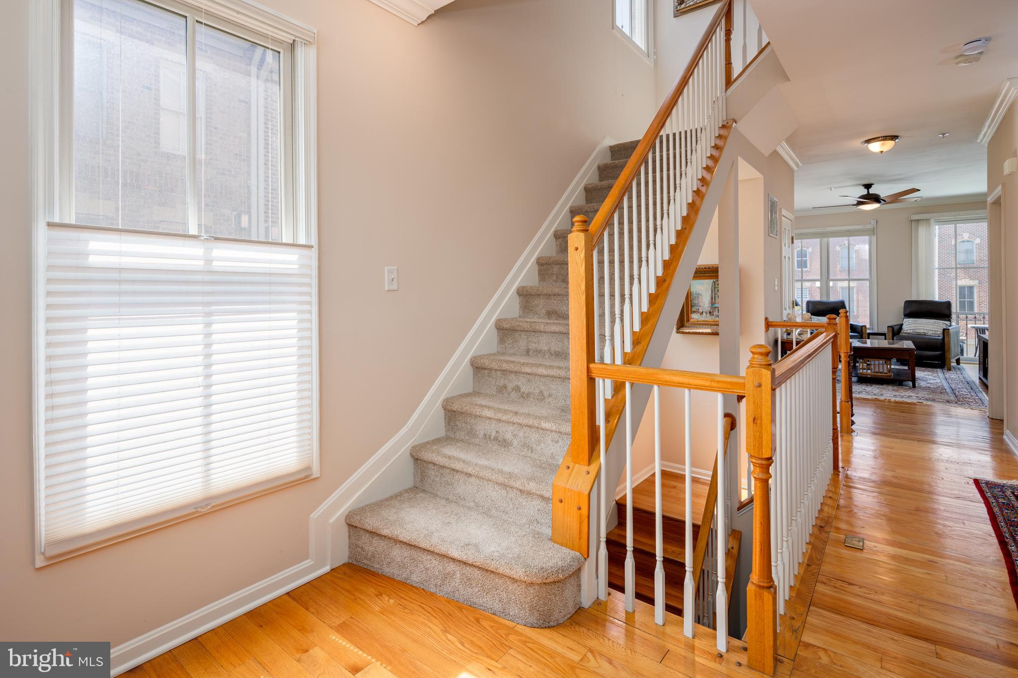 NORTH SHORE - Residential