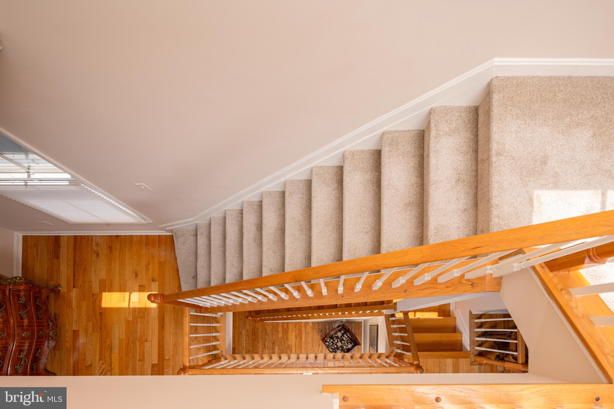 NORTH SHORE - Residential