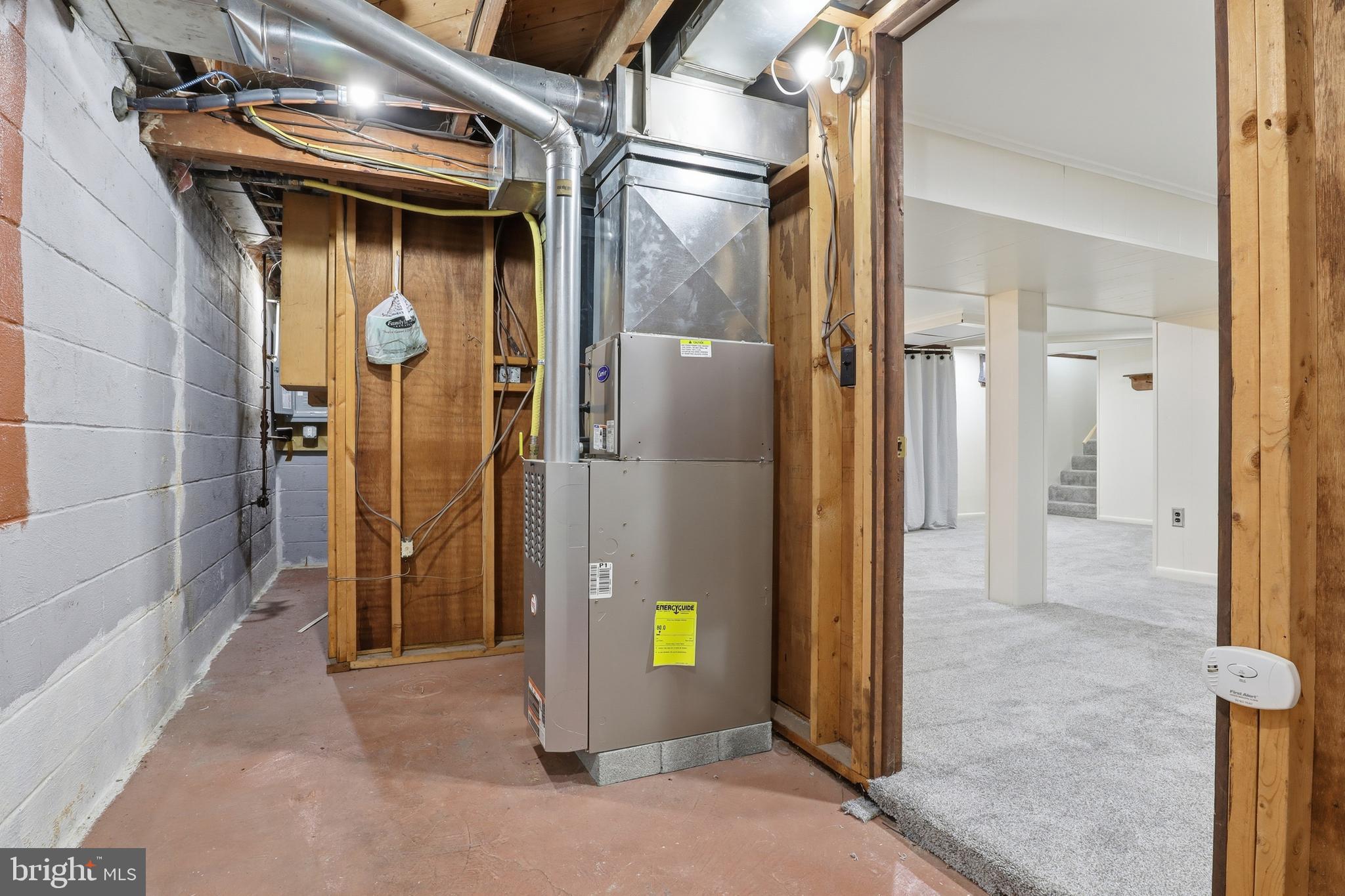 MOUNT JOY - Residential