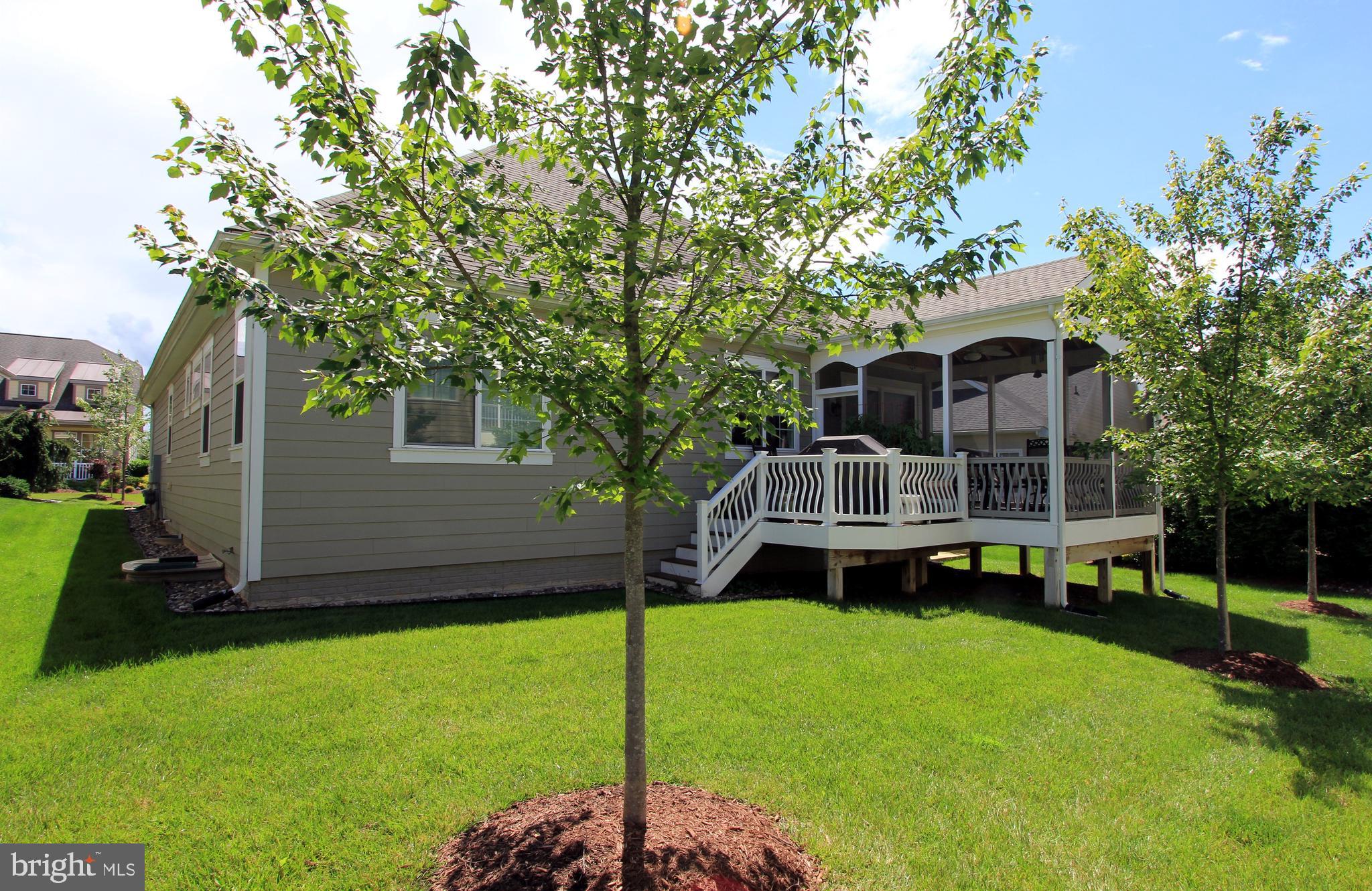 116 COTTONTAIL DRIVE