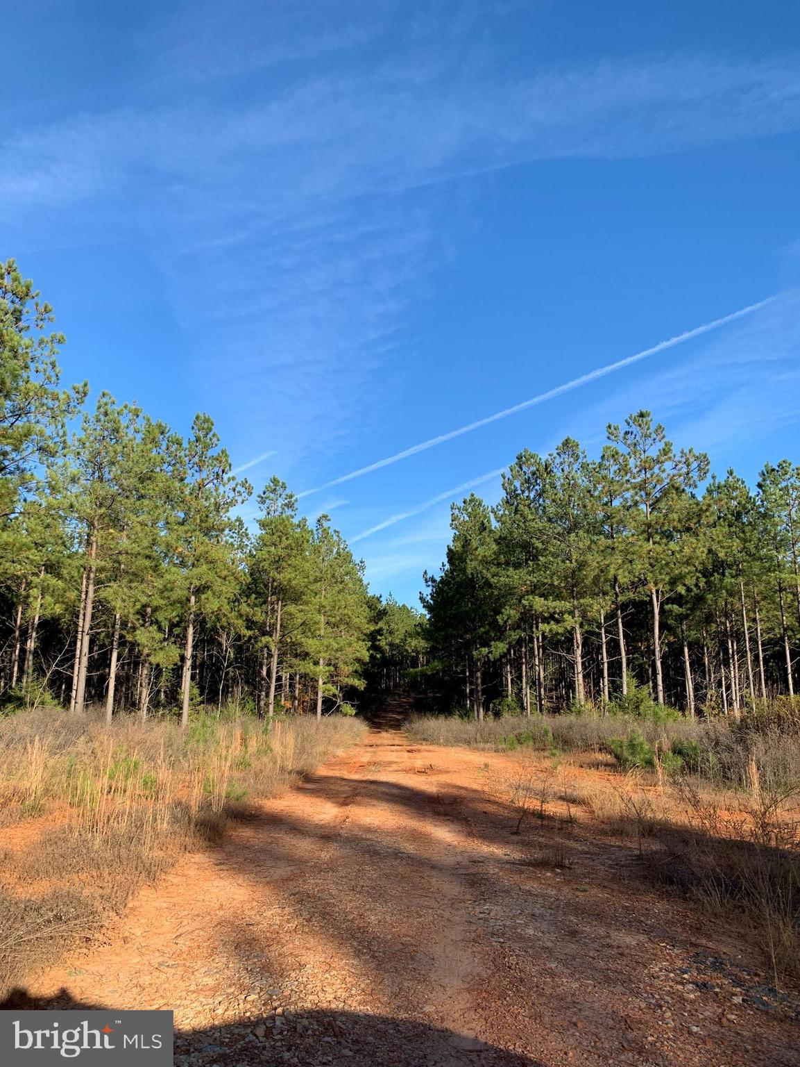 WILDWAY & WATT ABBITT RD (TRACT: BURRUSS & CARTER)