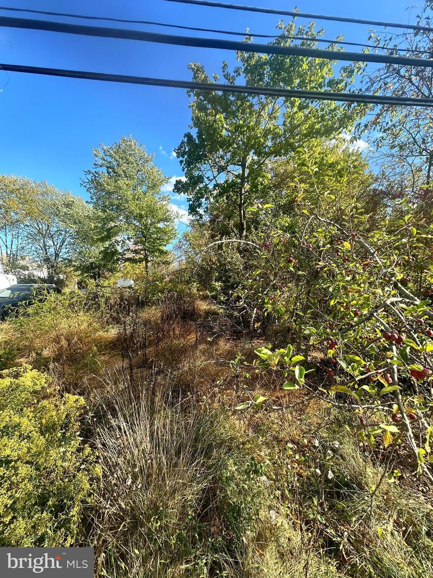 SELLER FINANCING AVAILABLE

This residential lot offers a fantastic opportunity to build your ideal home in a well-established neighborhood. Located behind 12 Wilson Blvd, it provides a quiet setting with homes nearby, making it ideal for homeowners seeking a peaceful location. Developers or builders can also take advantage of this property for a potential project. Buyers should confirm utility access with neighboring properties.

Optional Adjacent Lot Available: The lot at 12 Wilson Blvd, located directly in front, is also available and can be purchased together for additional space or development opportunities. Please check with lower providence twp for zoning requirements.