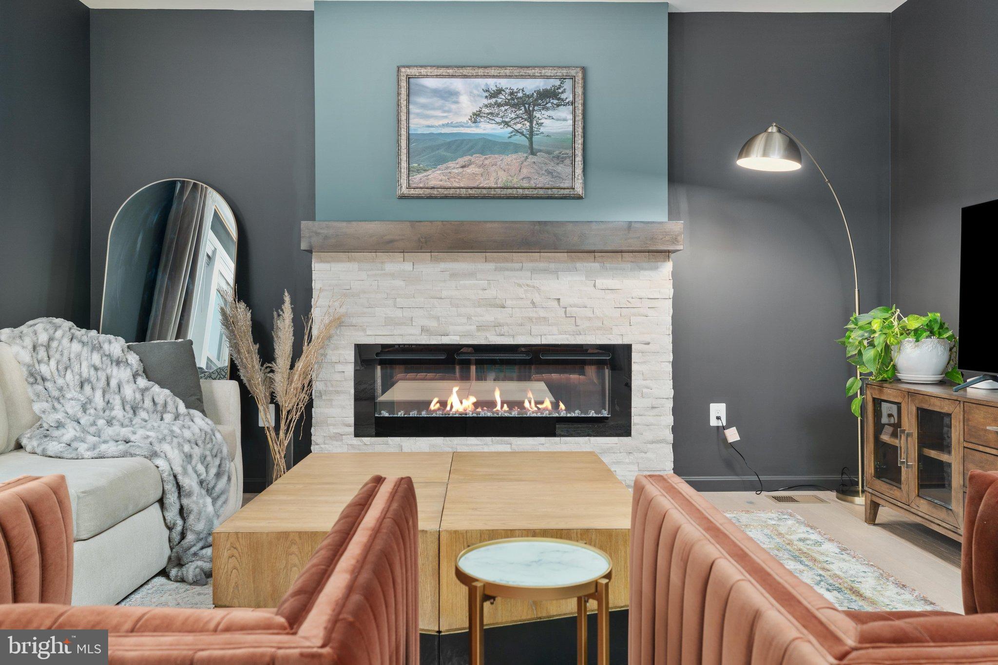 241 CEDAR SPRING DRIVE
