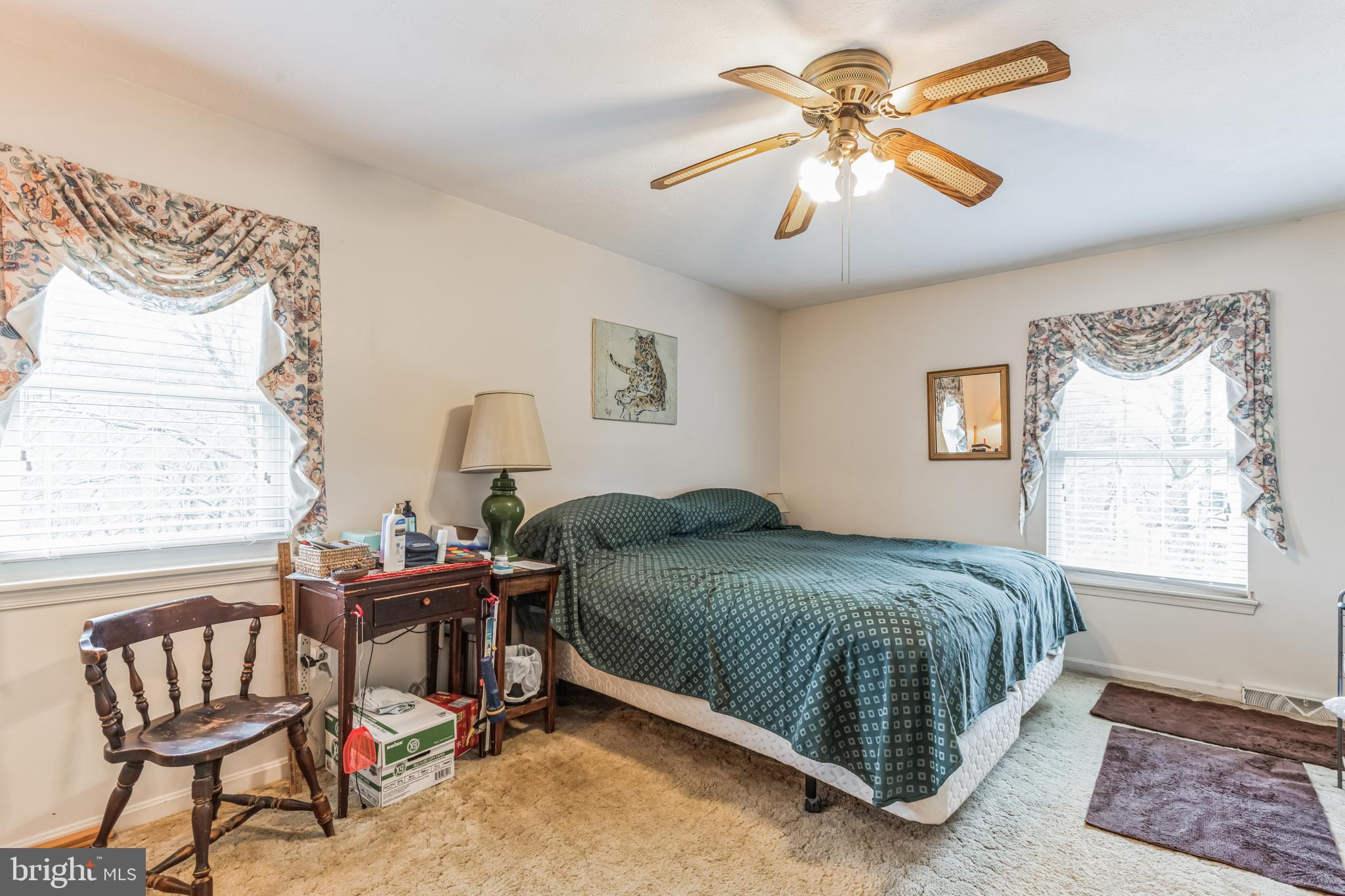 BUENA VISTA ESTATES - Residential