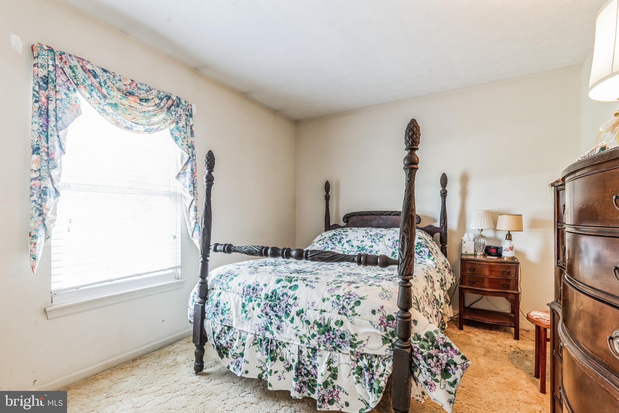 BUENA VISTA ESTATES - Residential