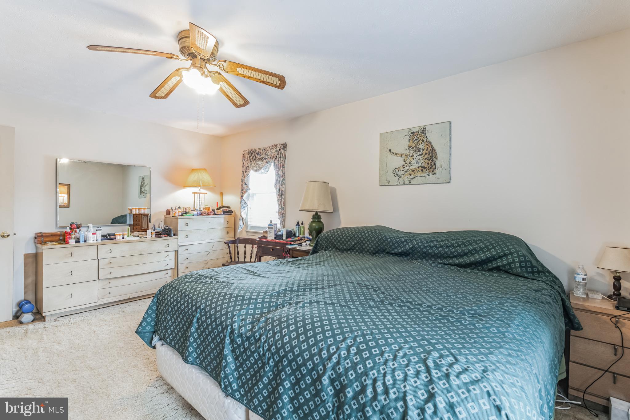 BUENA VISTA ESTATES - Residential