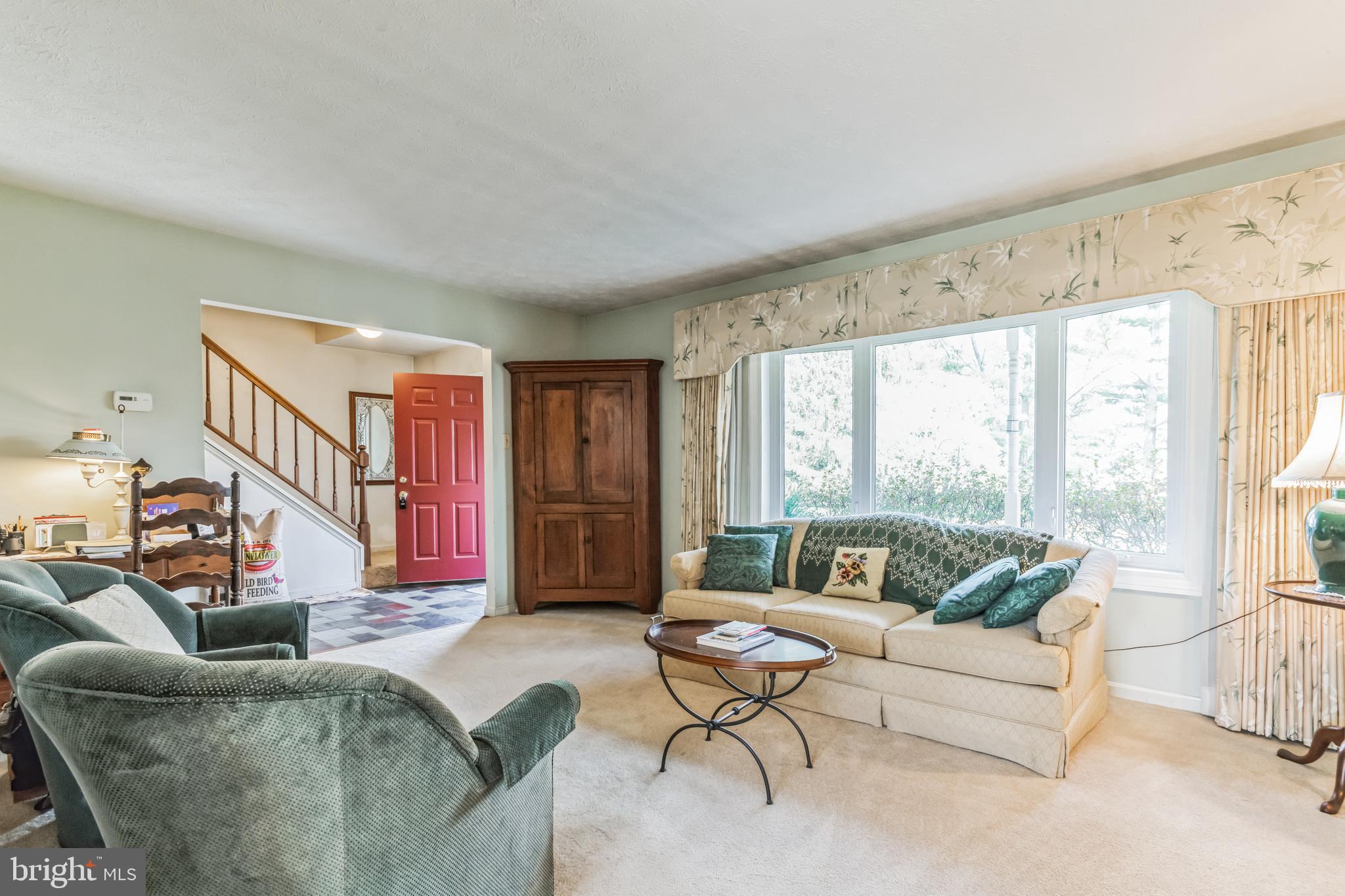 BUENA VISTA ESTATES - Residential