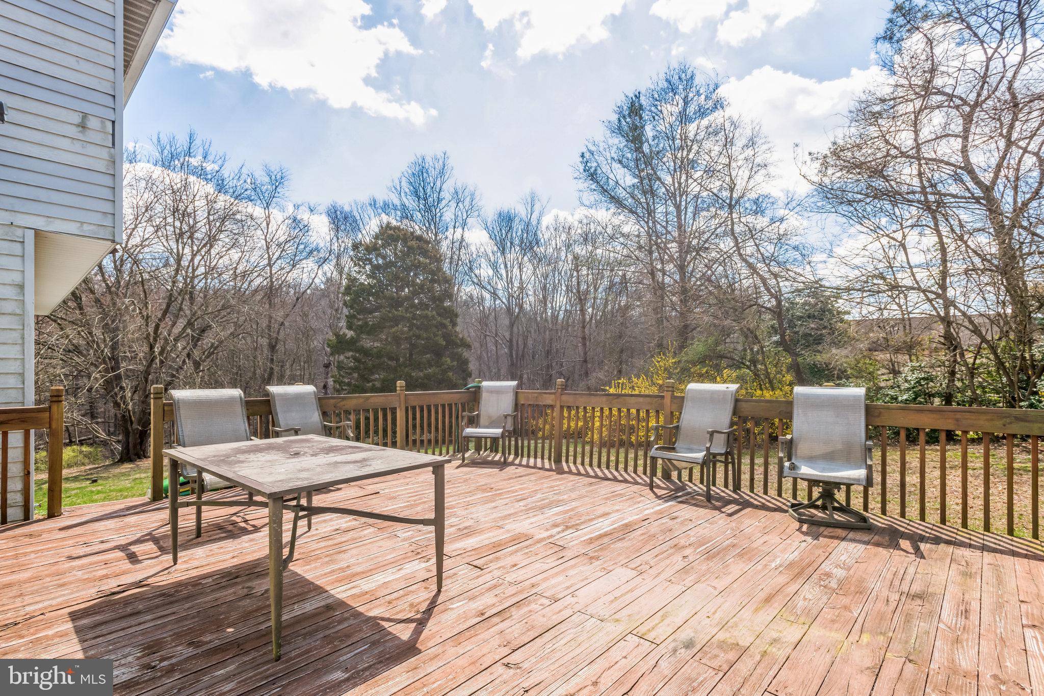 BUENA VISTA ESTATES - Residential