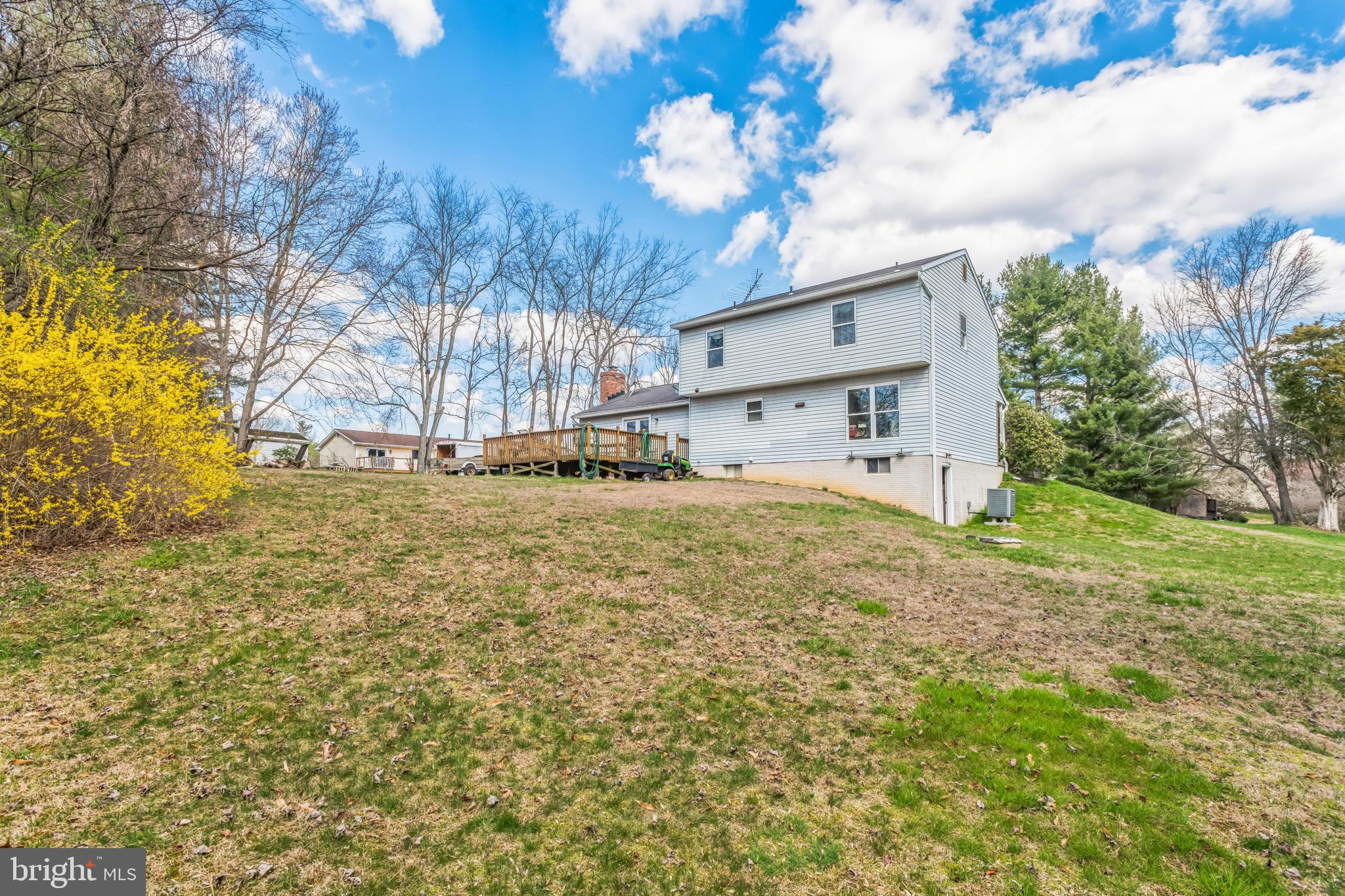 BUENA VISTA ESTATES - Residential