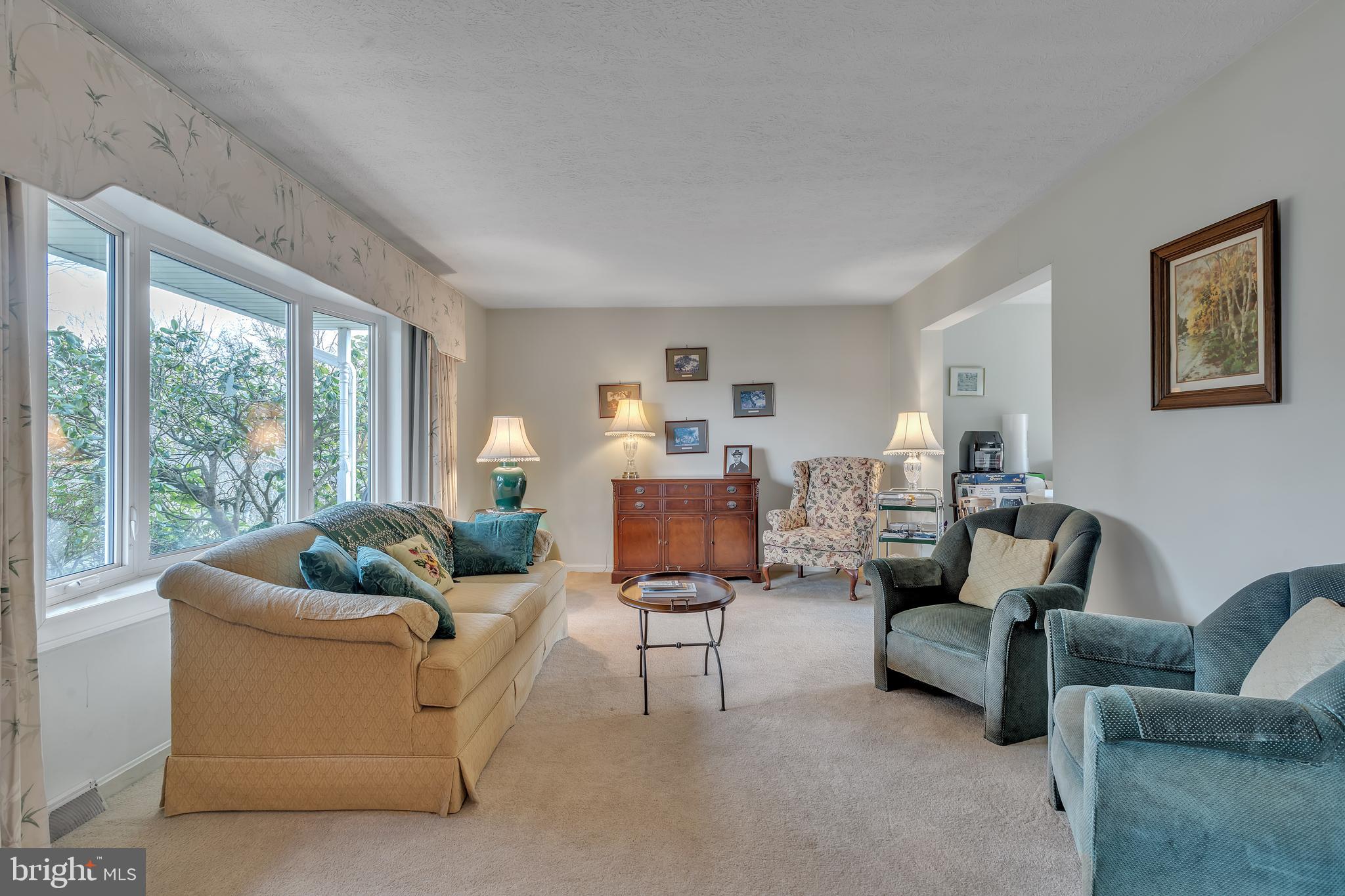 BUENA VISTA ESTATES - Residential