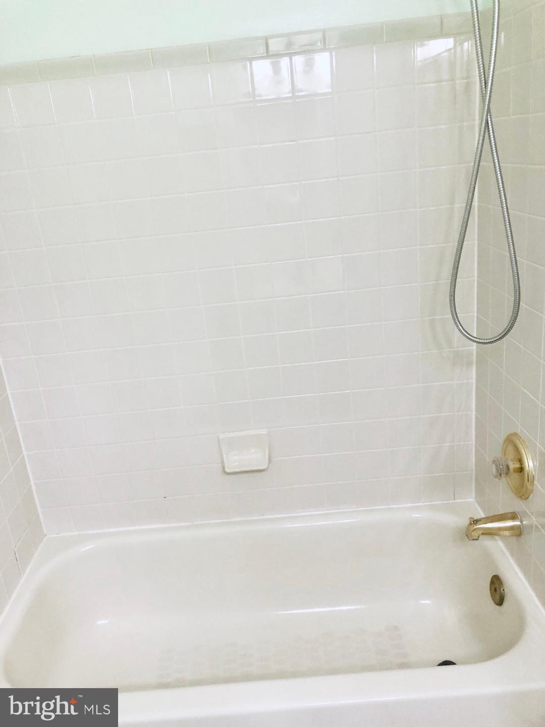 CAROLYN FOREST - Residential Lease