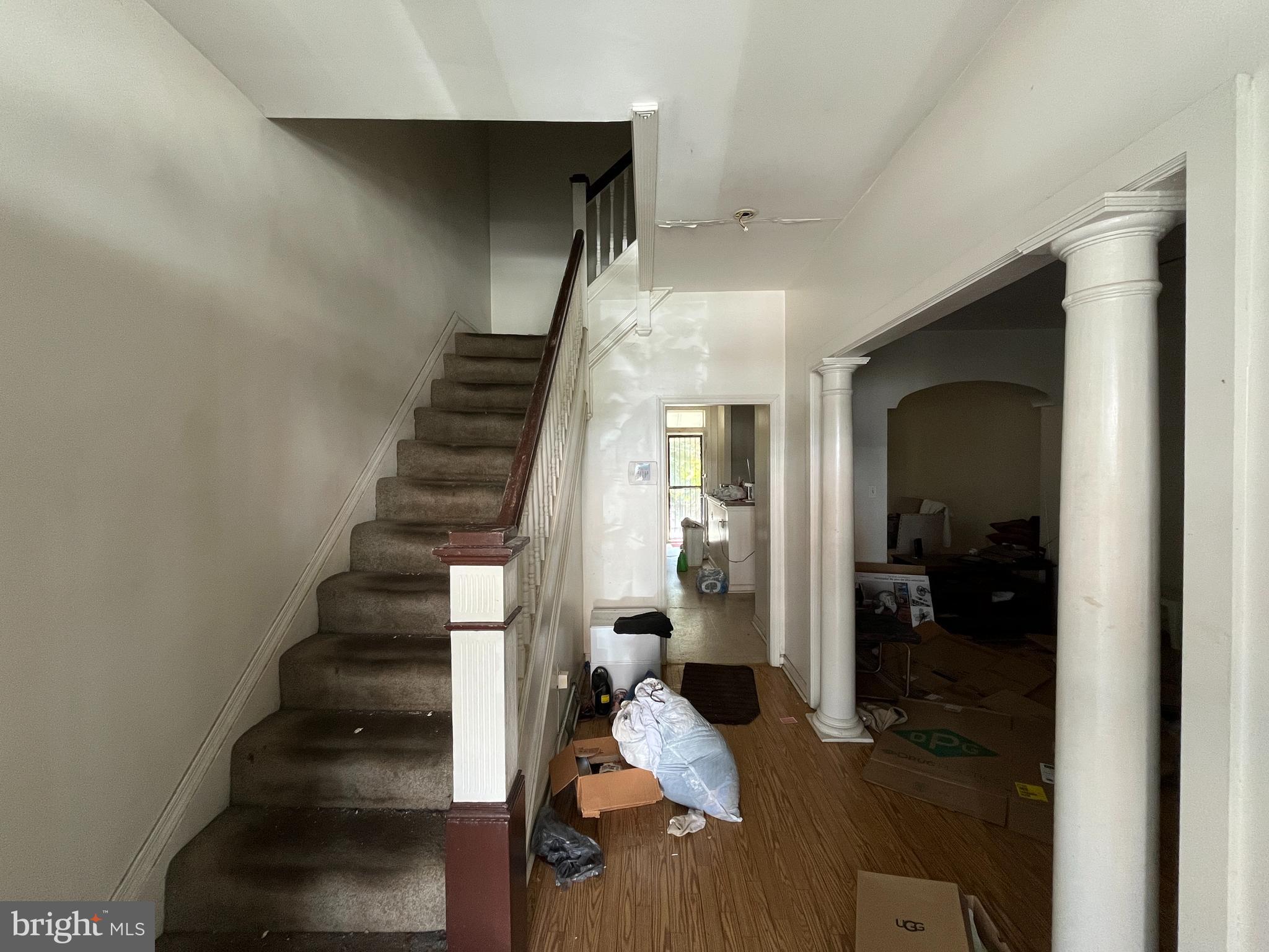 PEN LUCY - Residential