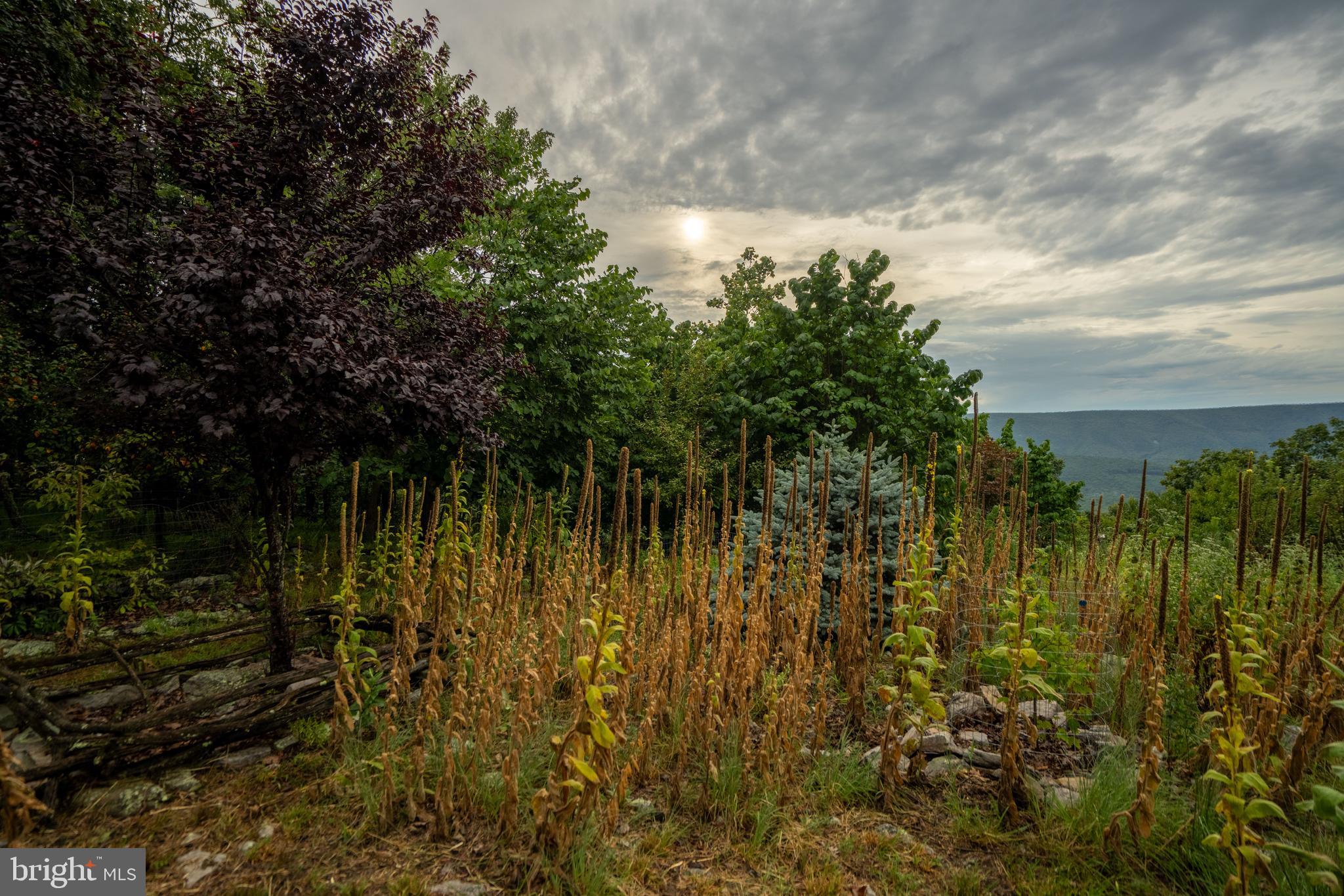 CACAPON HIGHLANDS - Residential