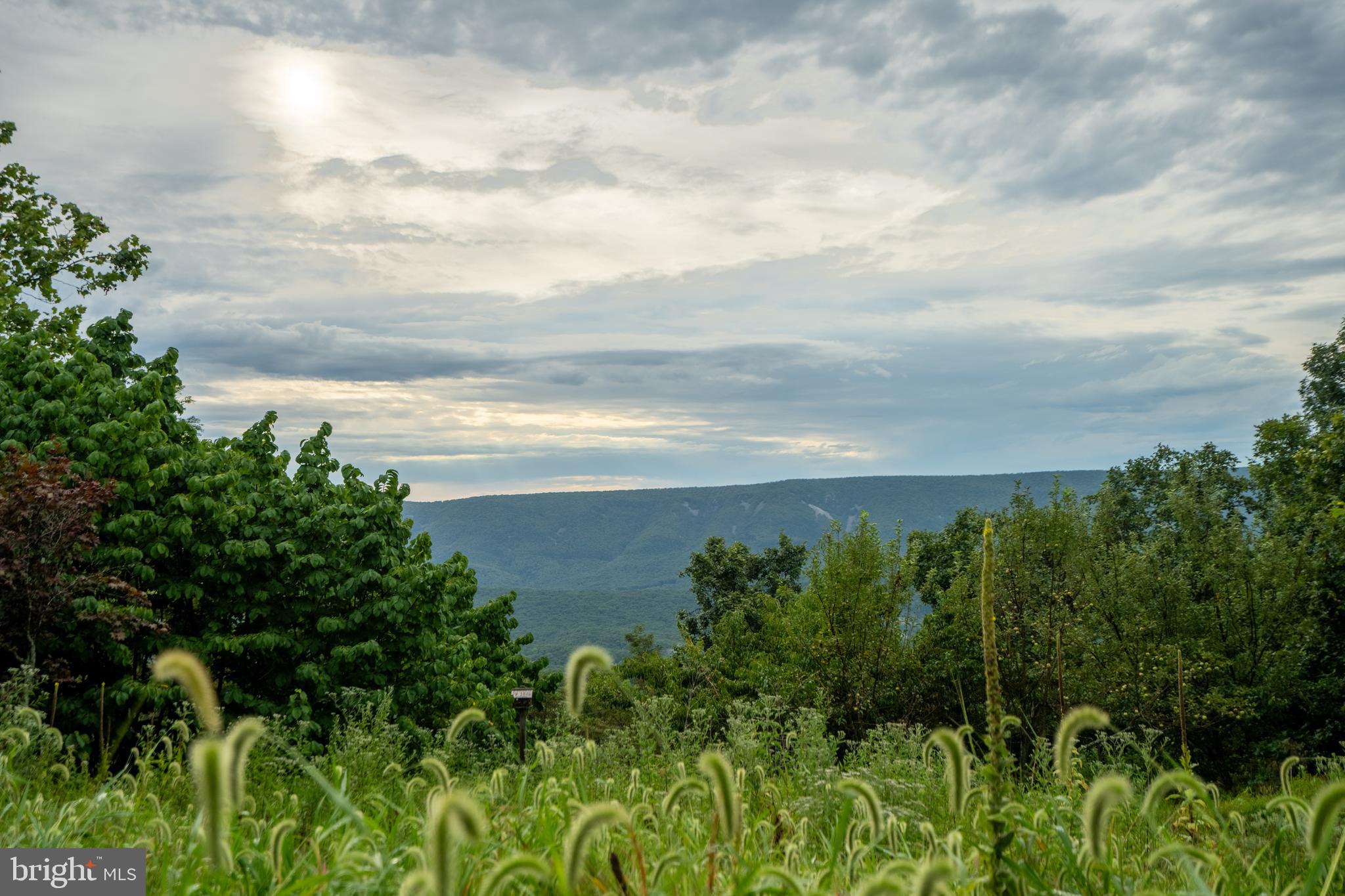 CACAPON HIGHLANDS - Residential