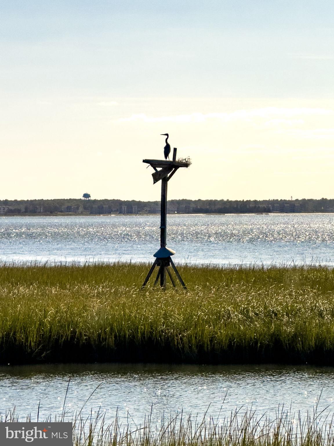SOUTH SHORE MARINA - Residential